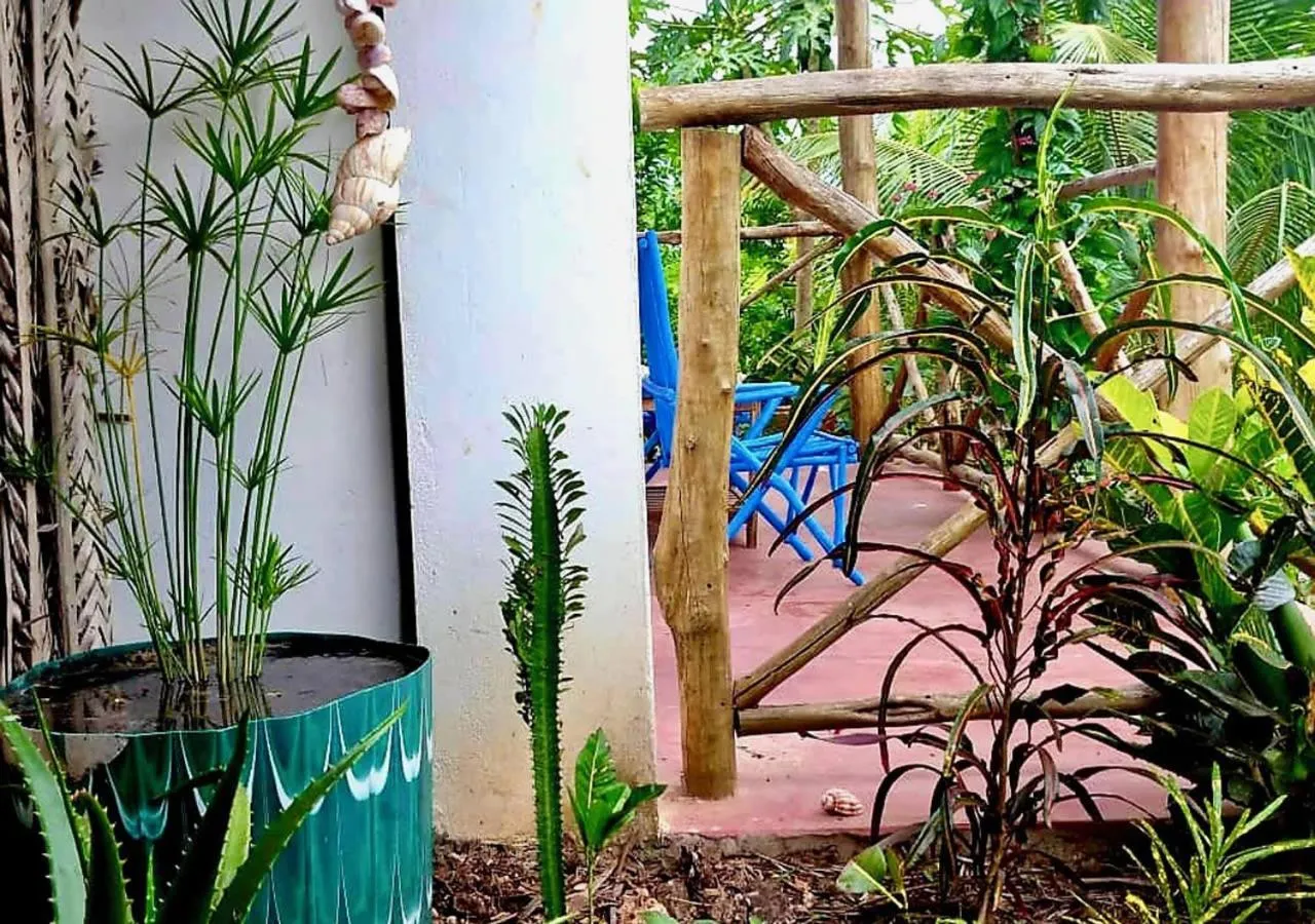 Garden in Kilimani House