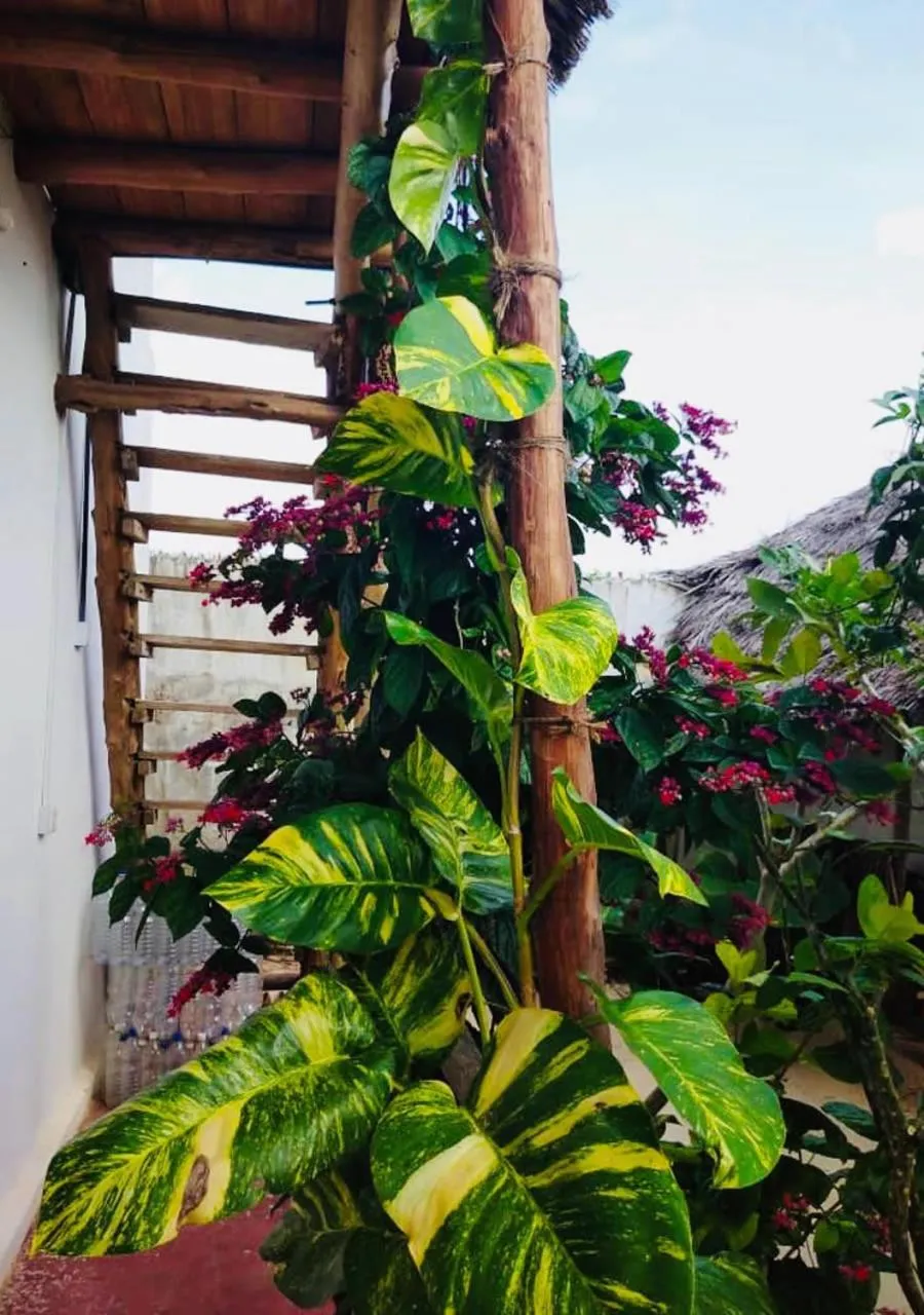 Garden in Kilimani House