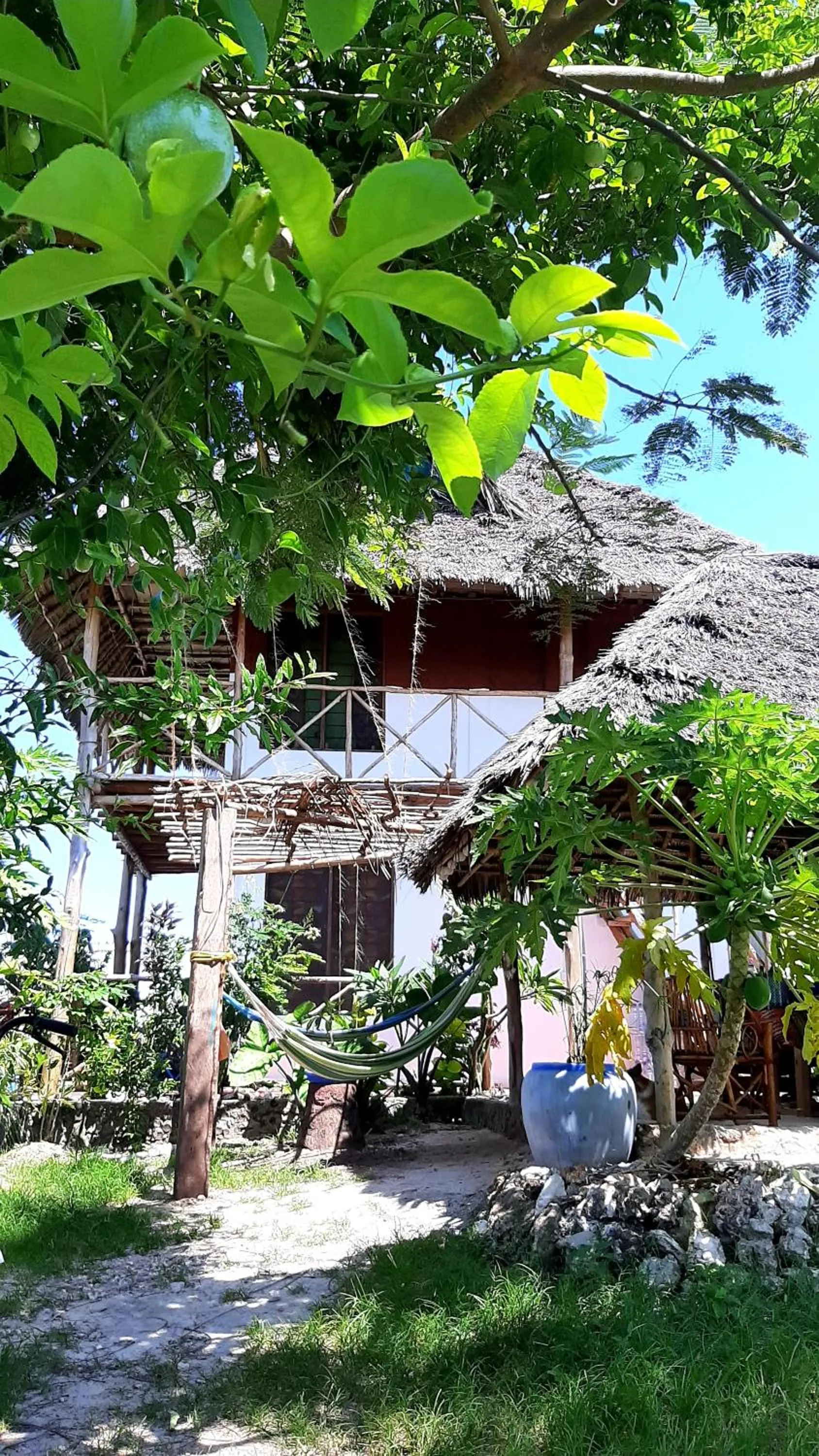 View (from property/room) in Kilimani House