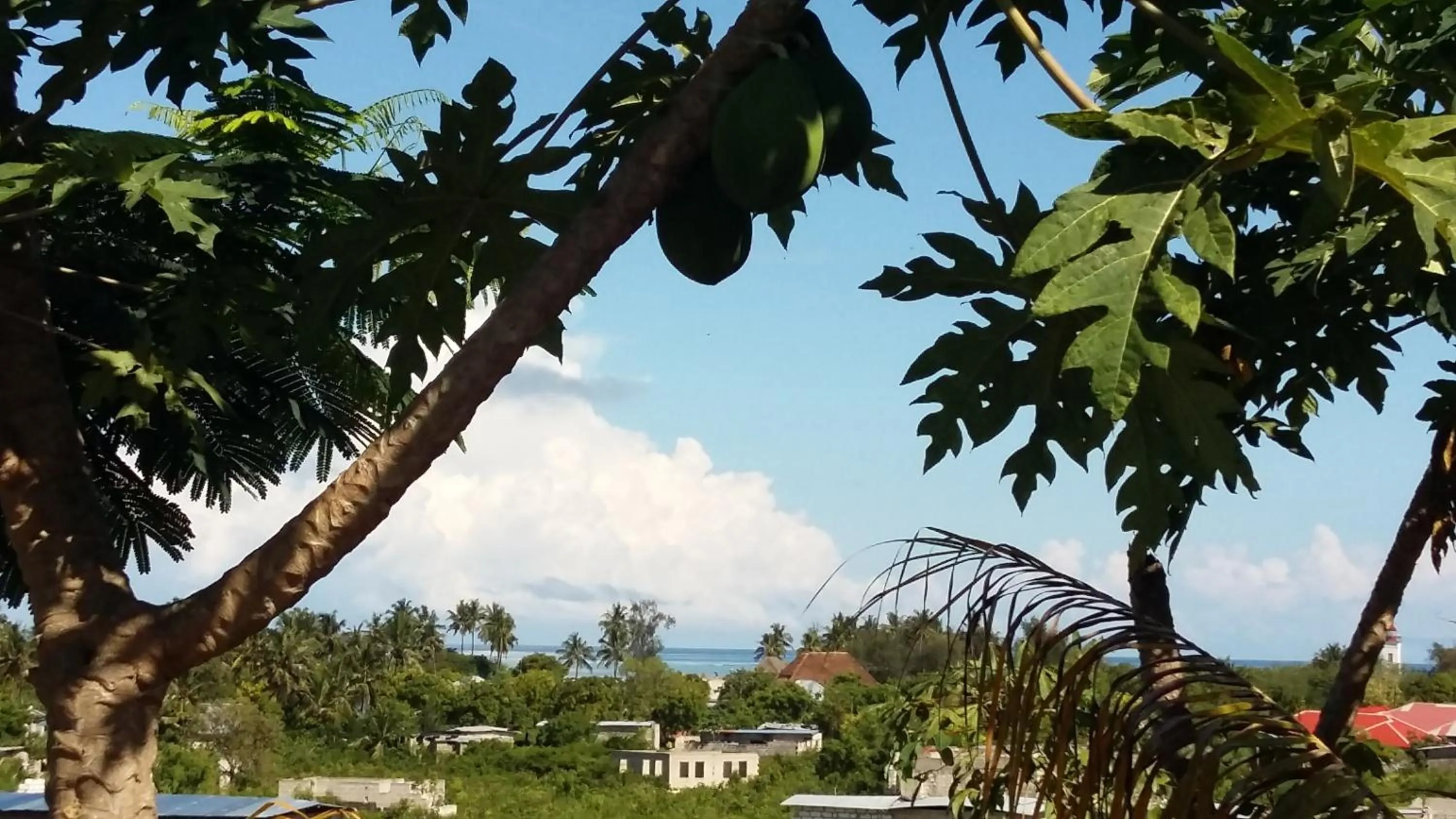 Sea view in Kilimani House