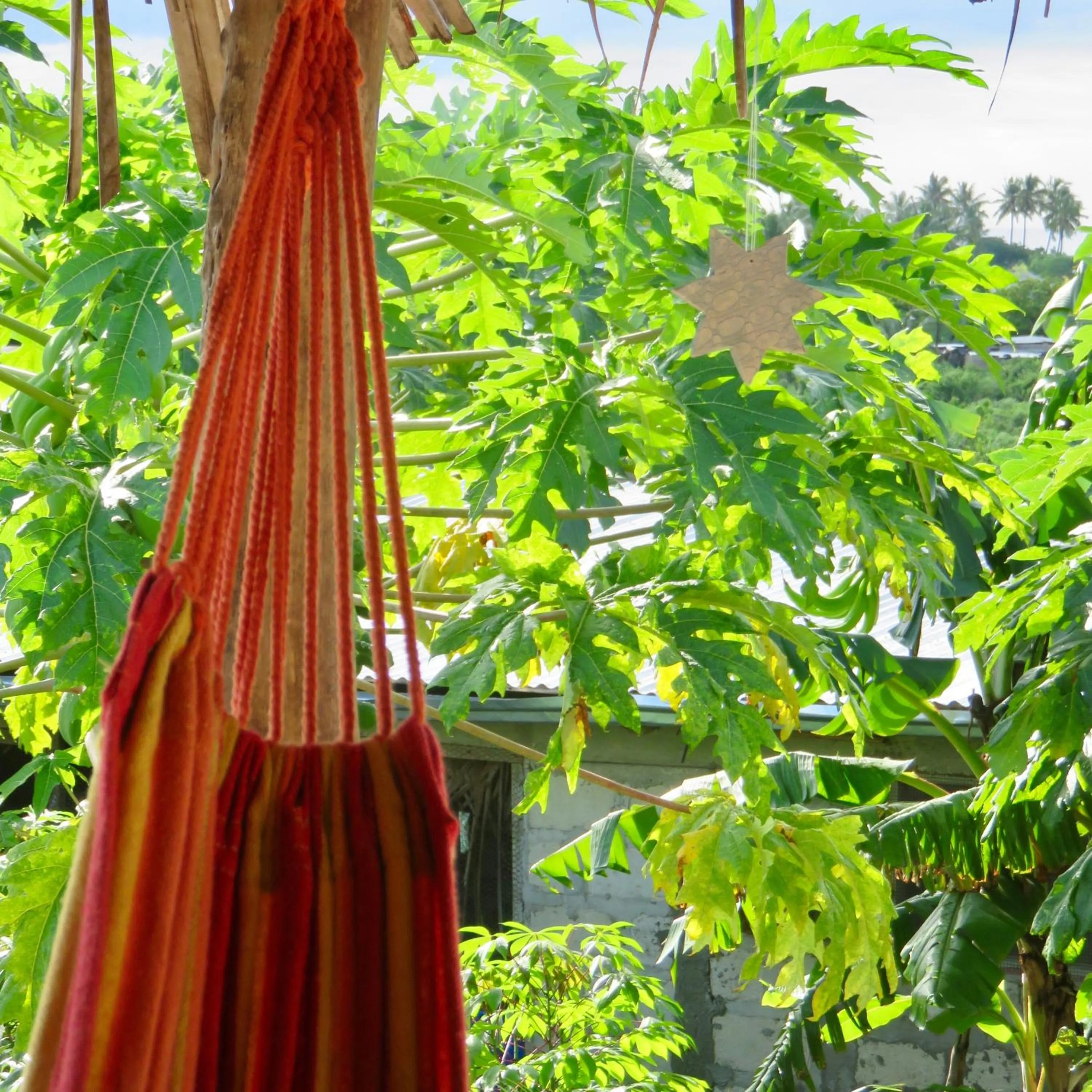Garden in Kilimani House