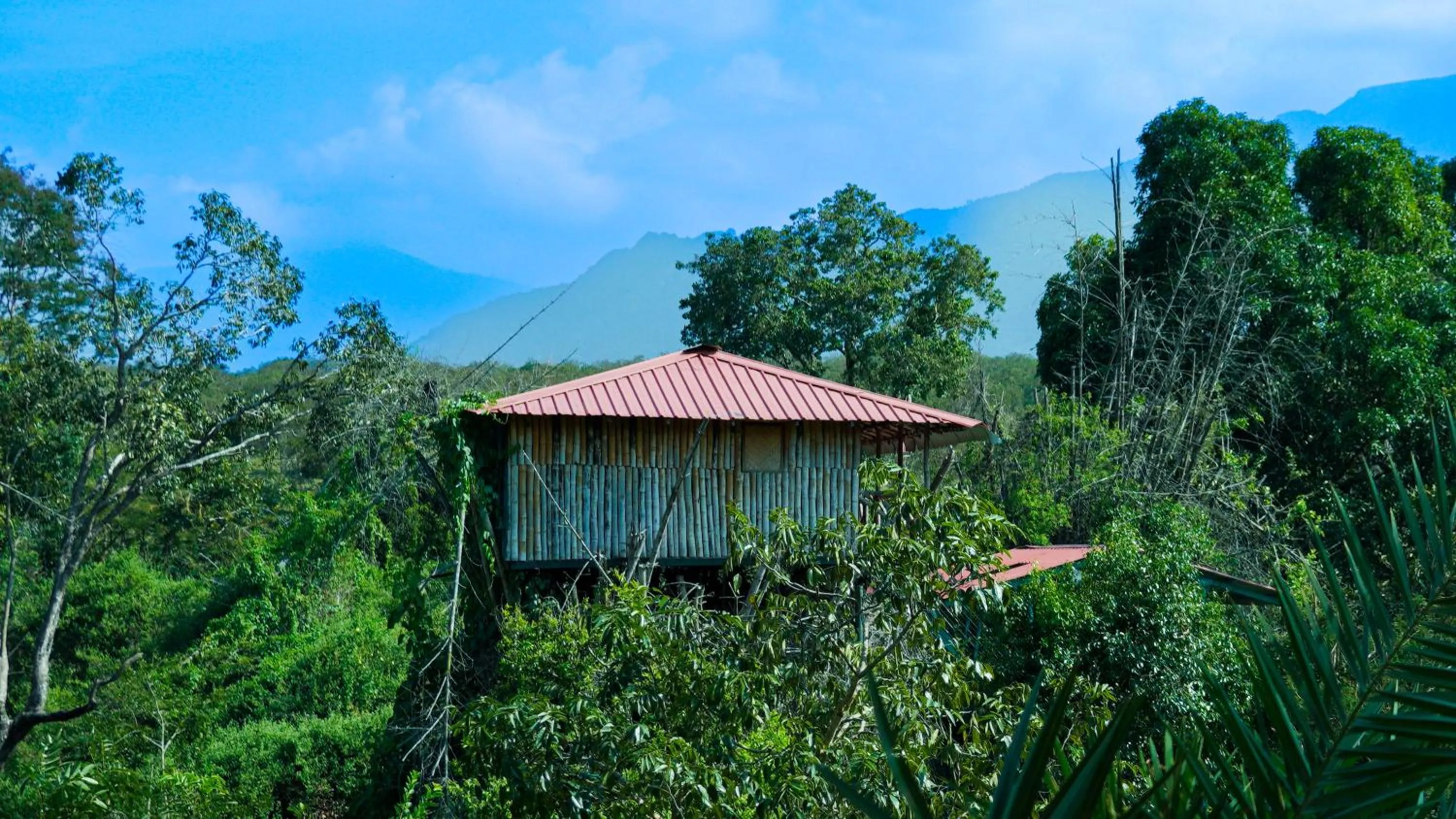 View (from property/room) in River Valley Resort