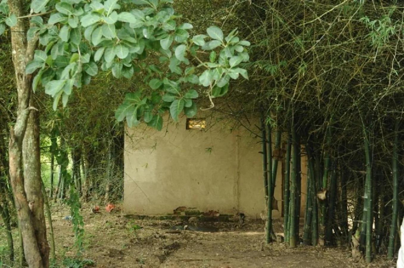 Other in River Valley Resort