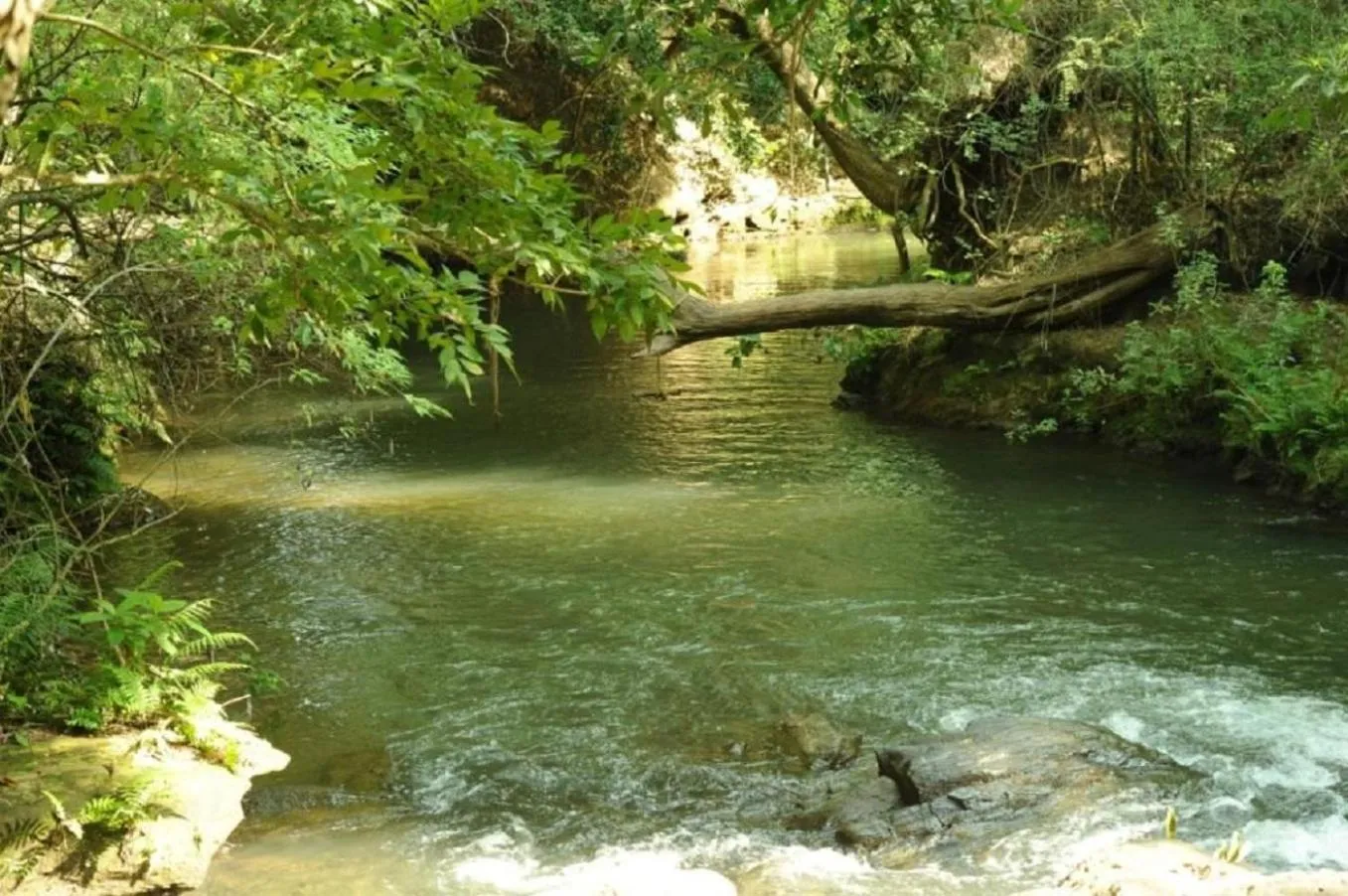 Area and facilities in River Valley Resort