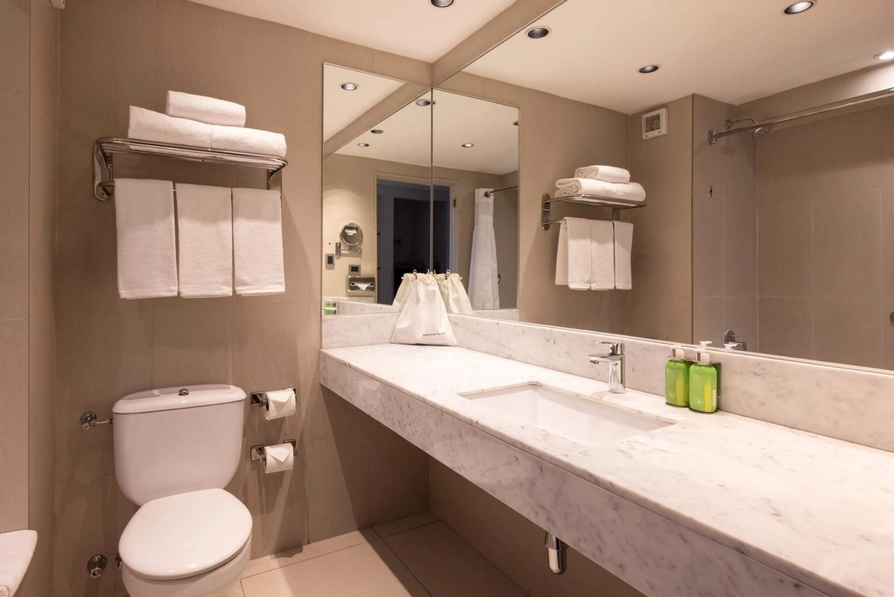 Holiday Inn Express - Temuco by IHG