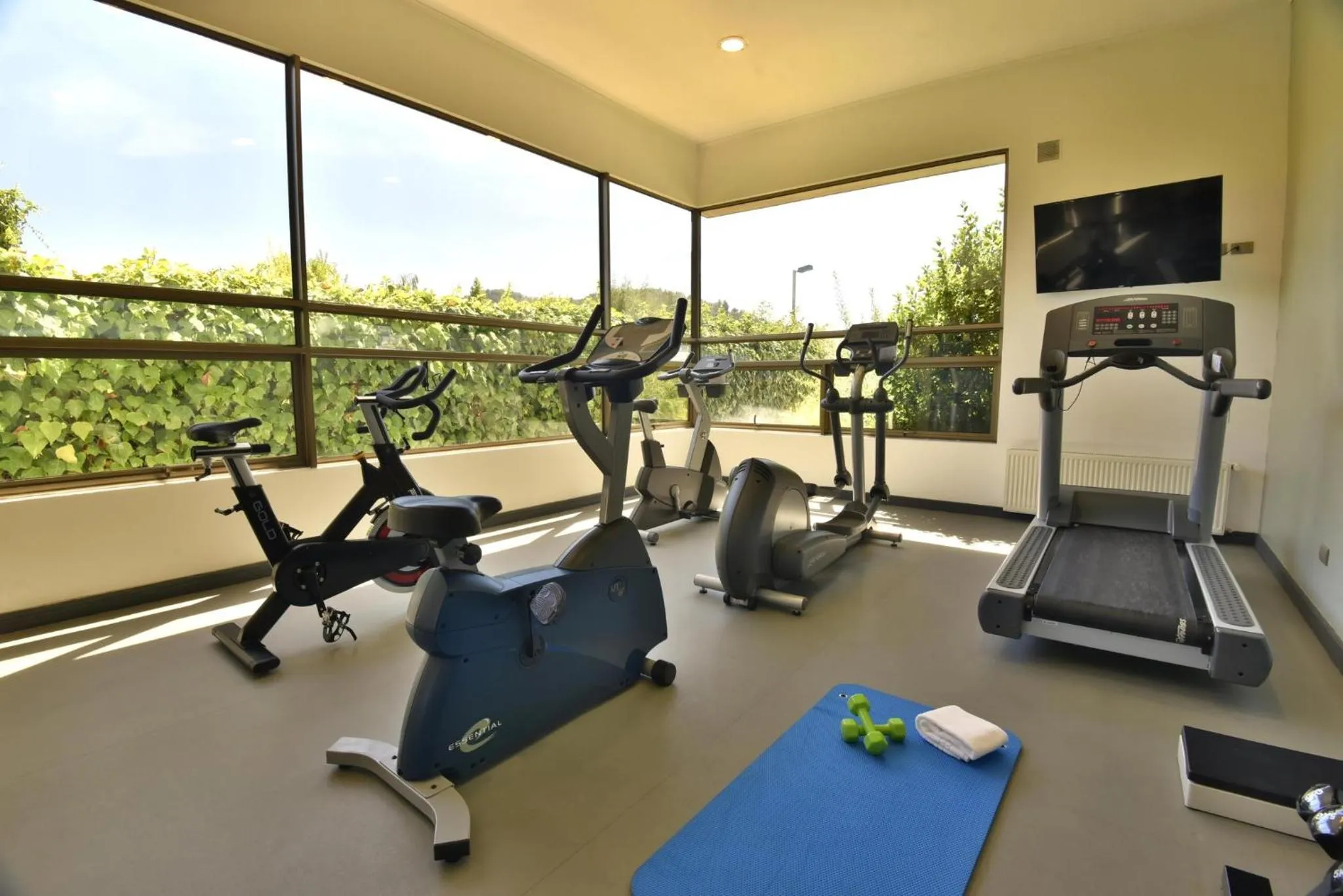 Fitness centre/facilities in Holiday Inn Express - Temuco by IHG