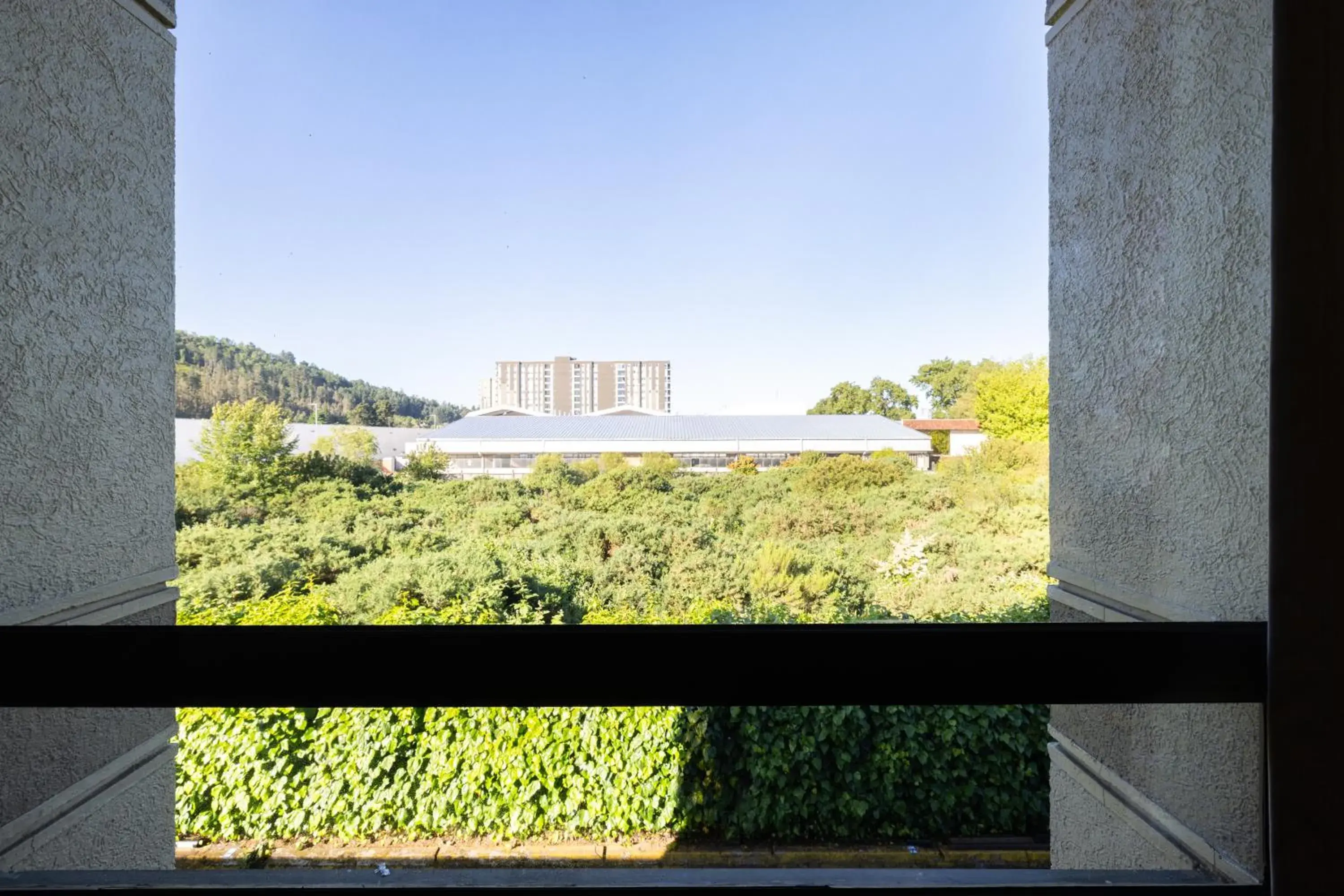 Standard King Room in Holiday Inn Express - Temuco by IHG Standard King Room in Holiday Inn Express - Temuco by IHG