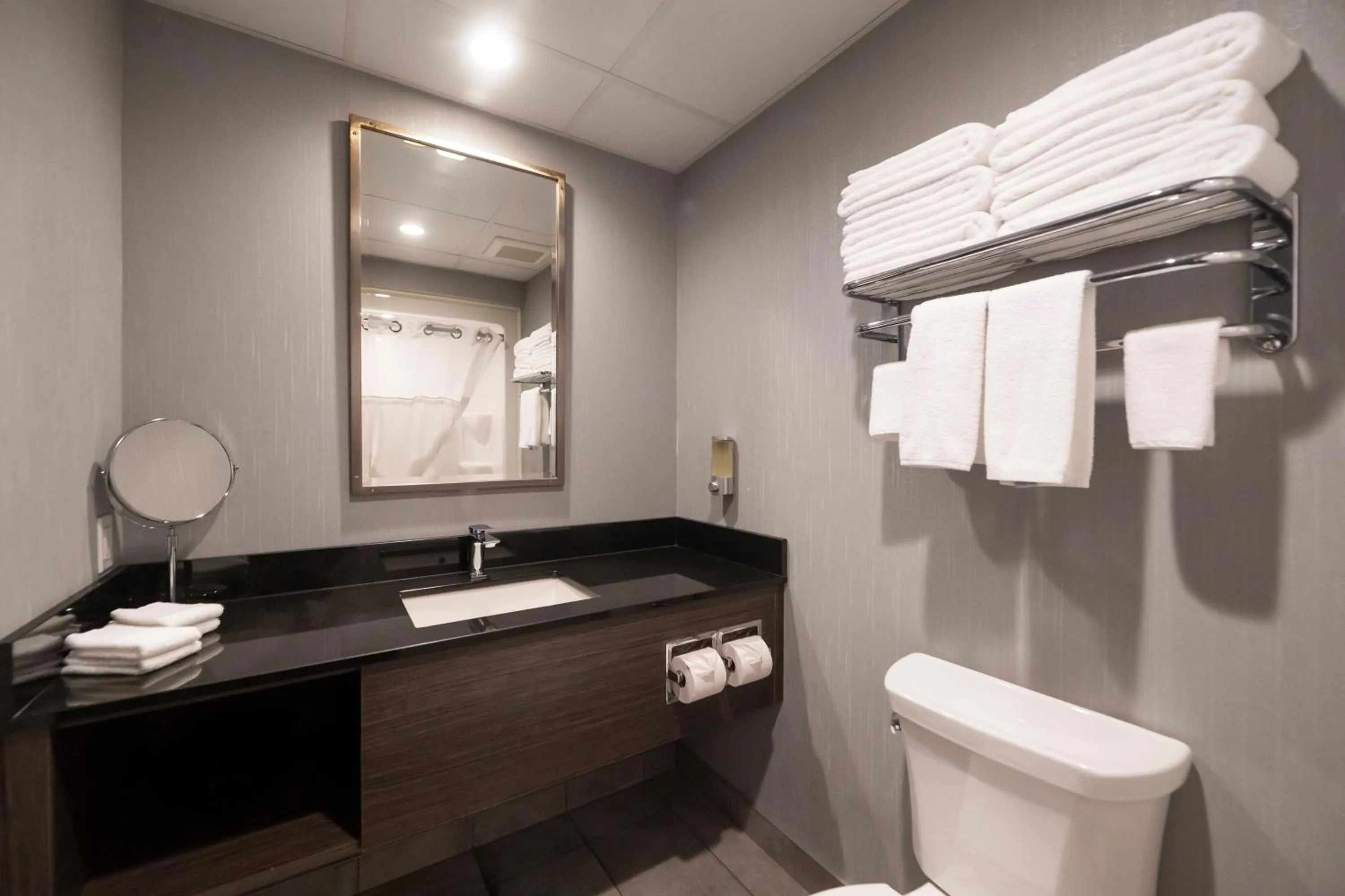 Bathroom in Hôtel & Suites Le Dauphin Québec