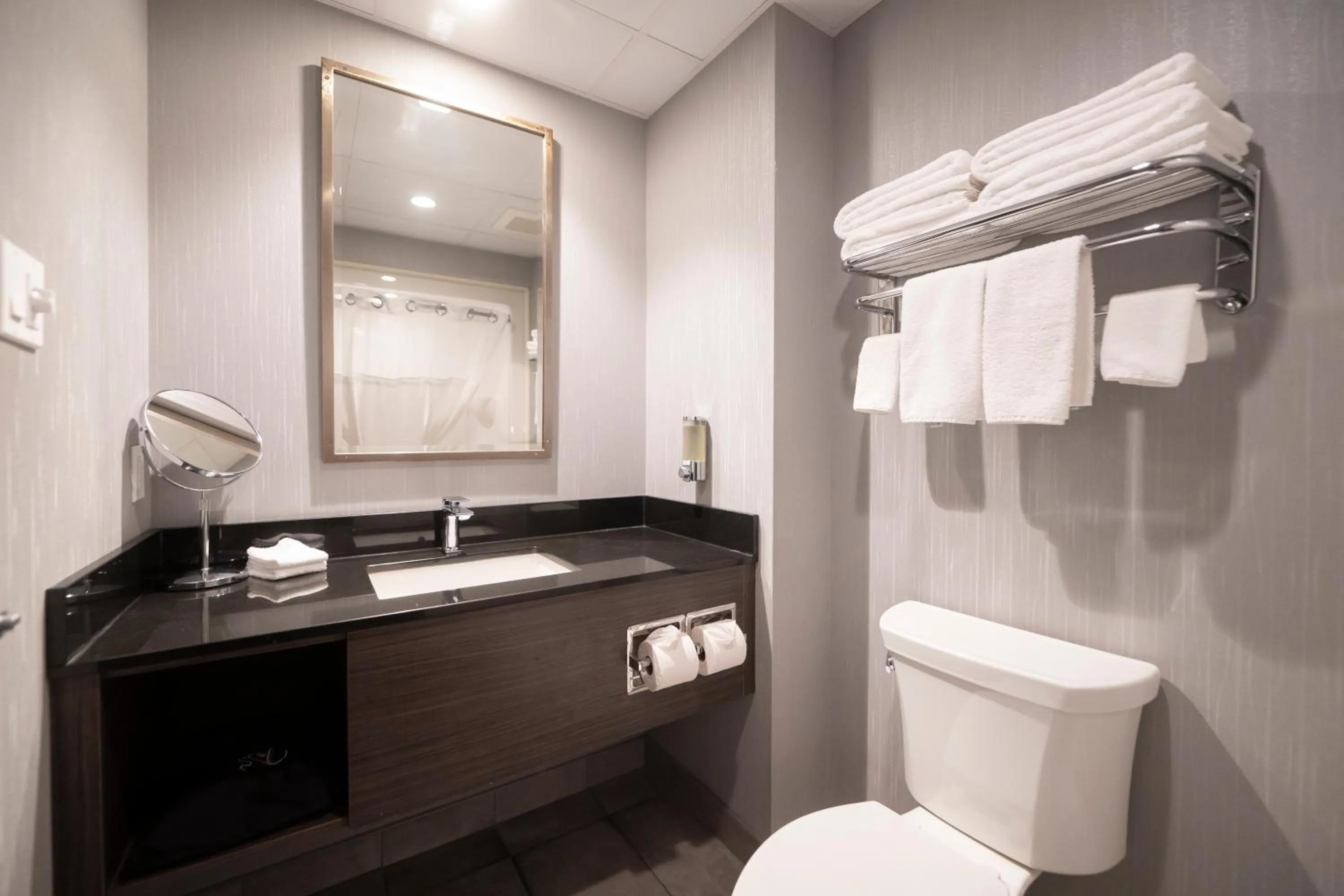 Bathroom in Hôtel & Suites Le Dauphin Québec