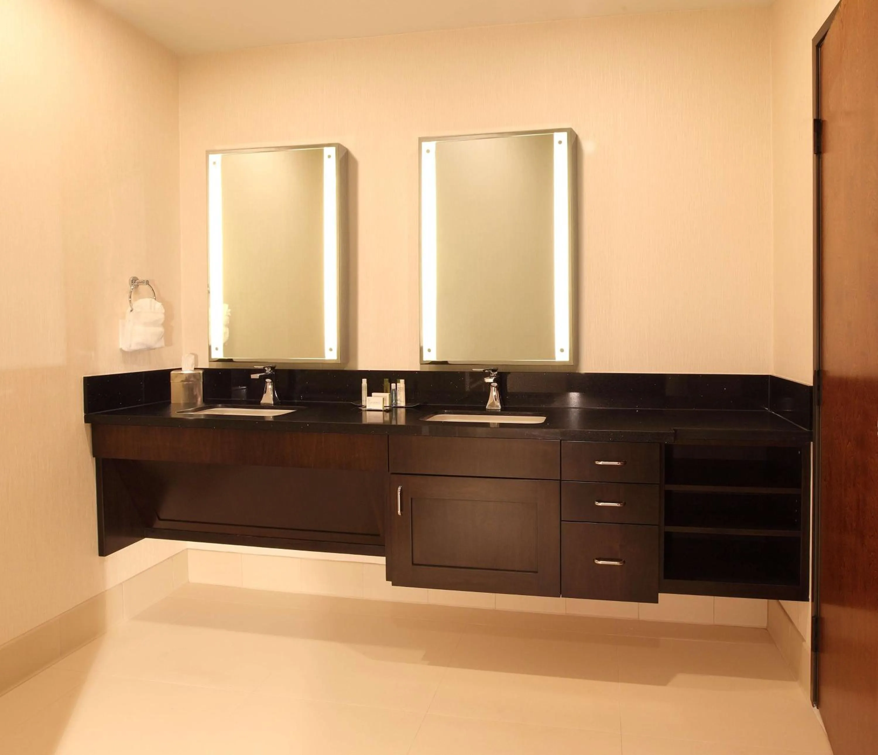 Bathroom in DoubleTree by Hilton Claremont