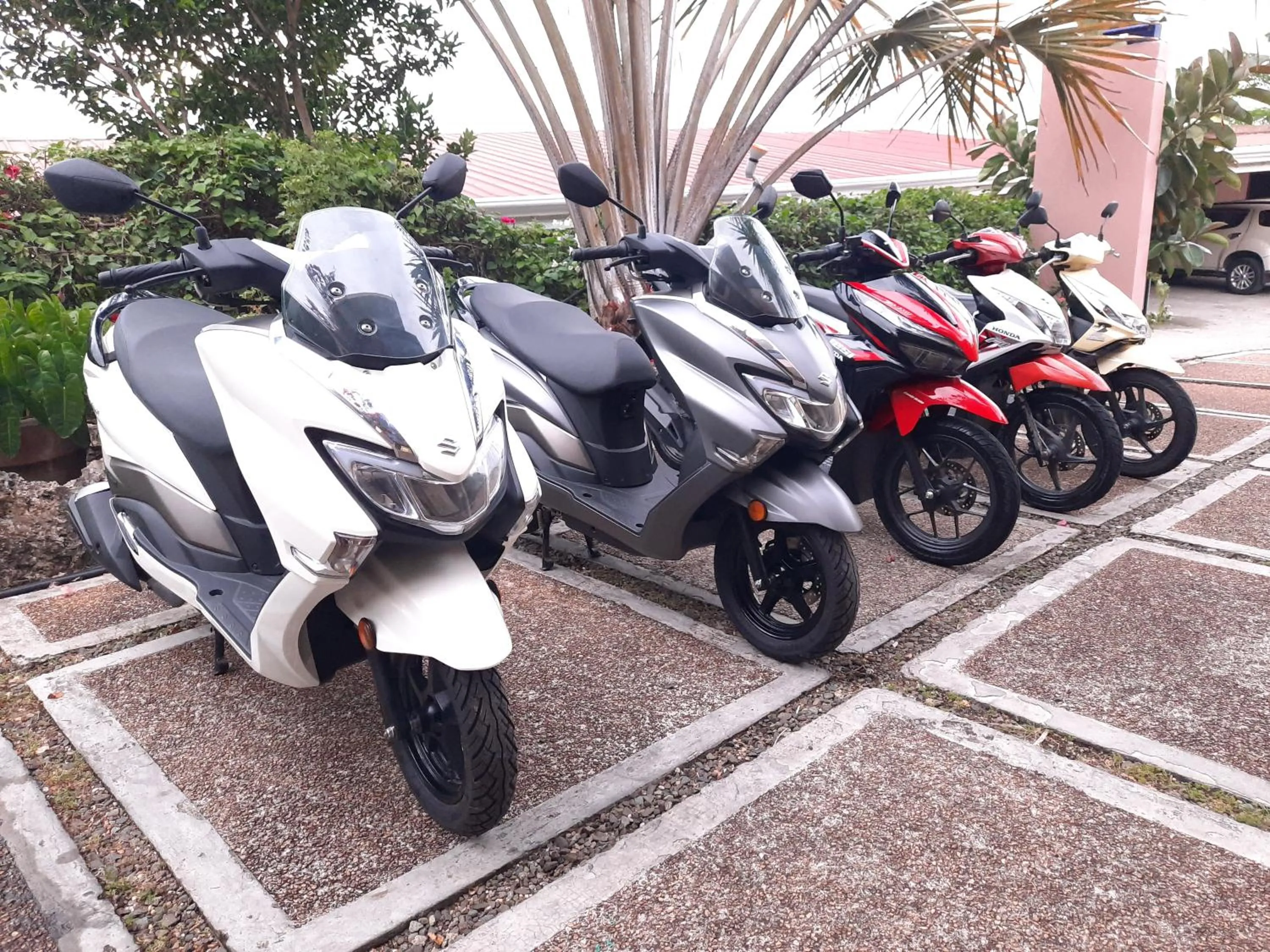 Diving in Bohol Vantage Resort