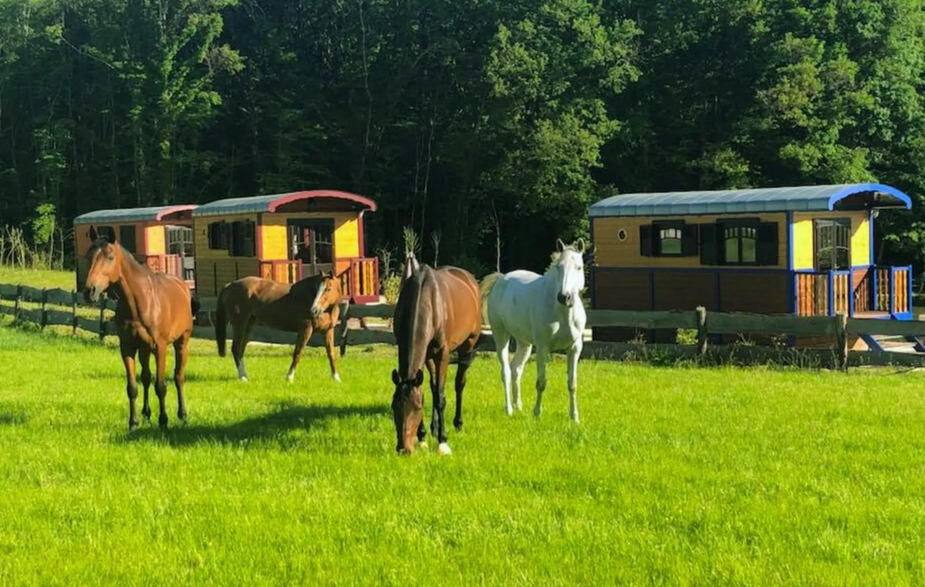 View (from property/room) in SAS Le Hameau des Grilles