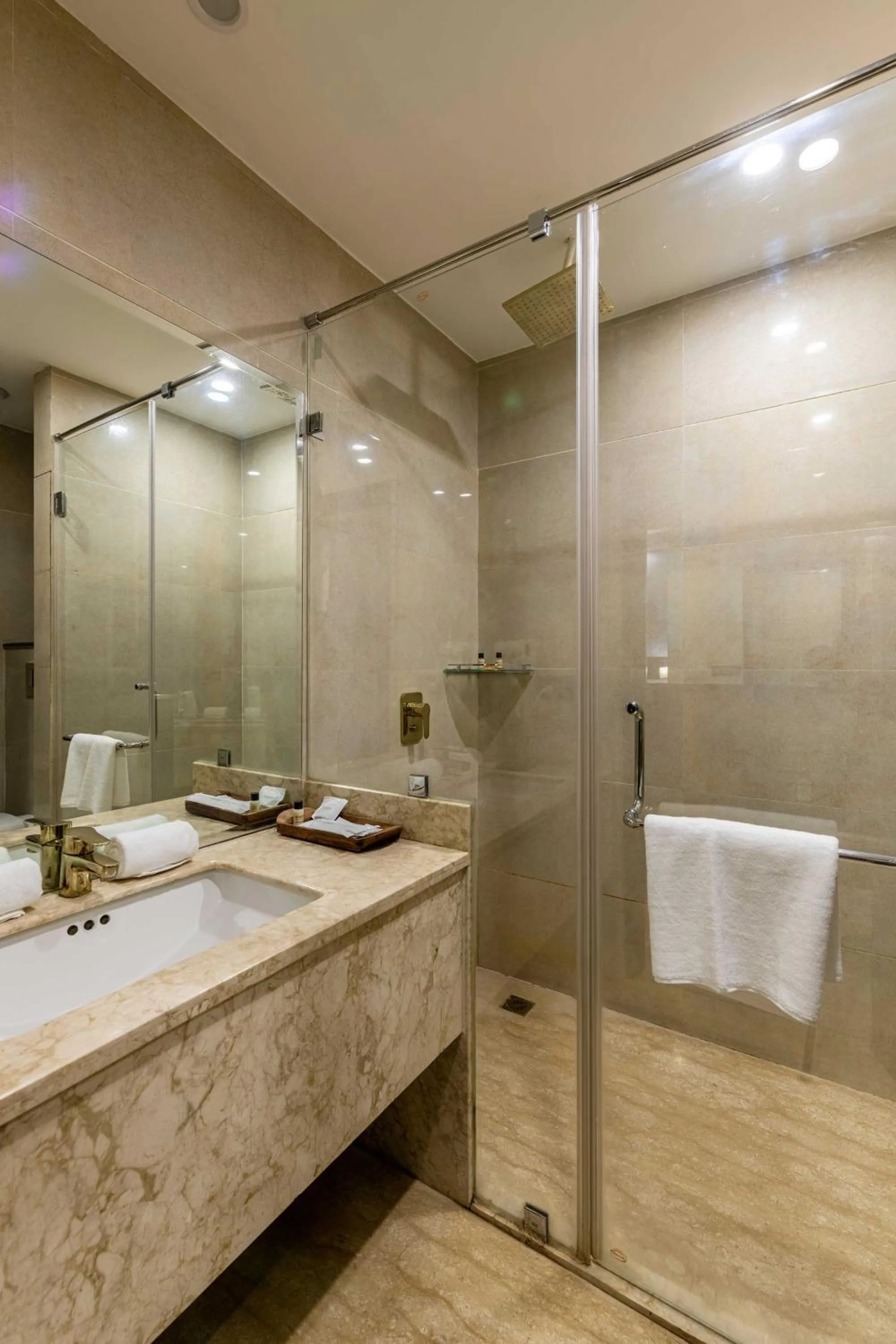 Bathroom in The Baagh Ananta Elite Ranthambore