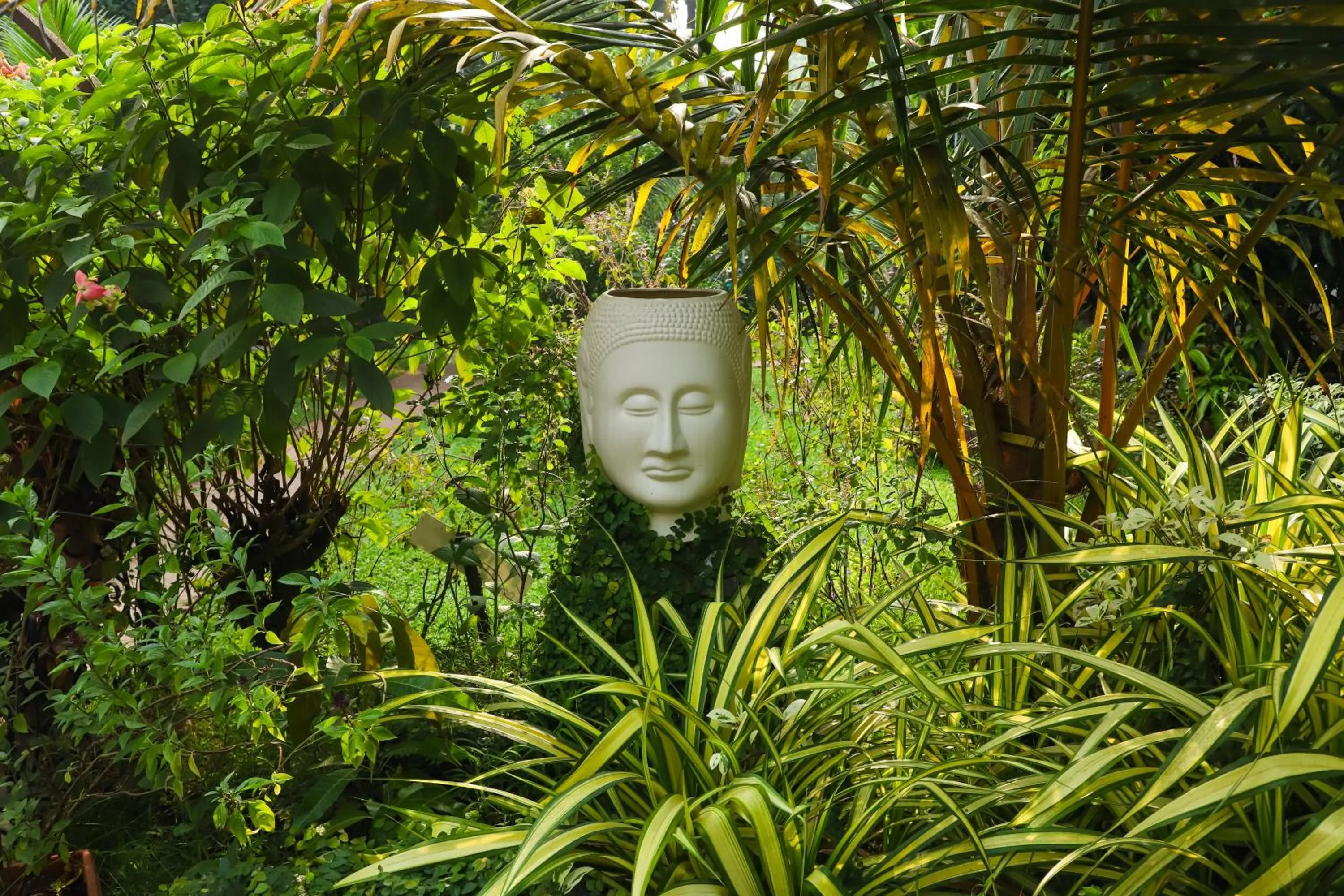 Other in Sanidhya Beach Resort & Spa