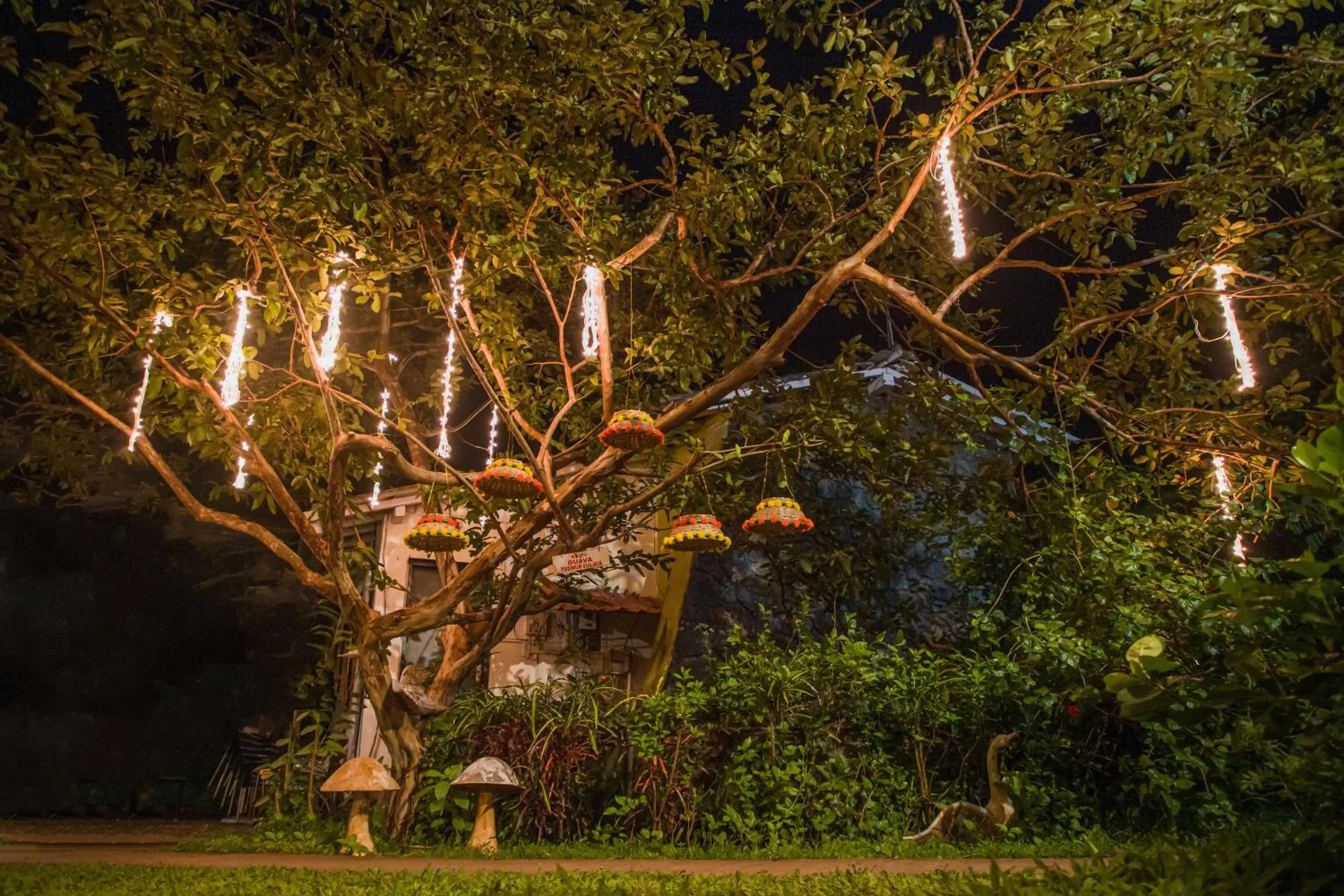 Natural landscape in Sanidhya Beach Resort & Spa