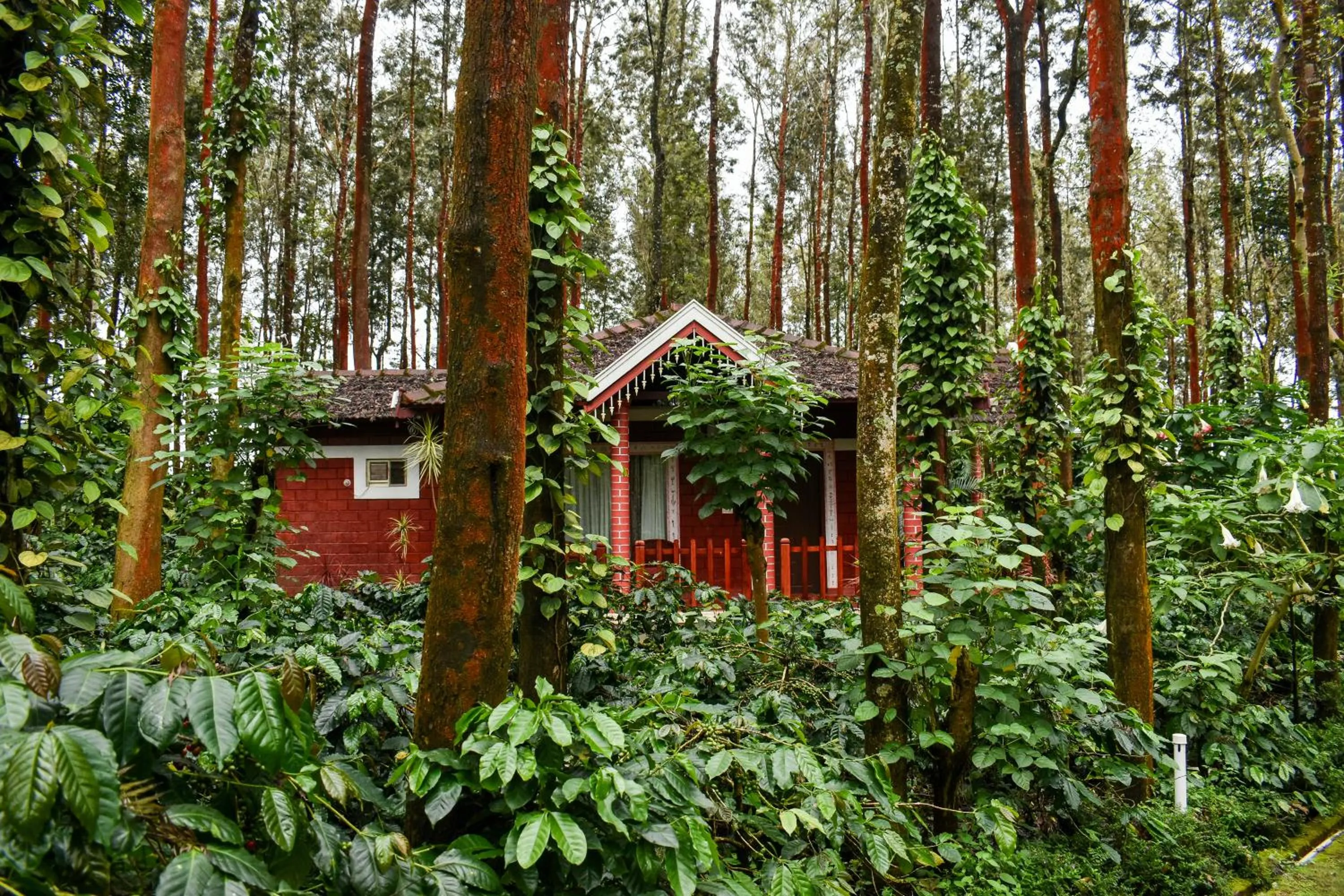 Coffee Grove Resort