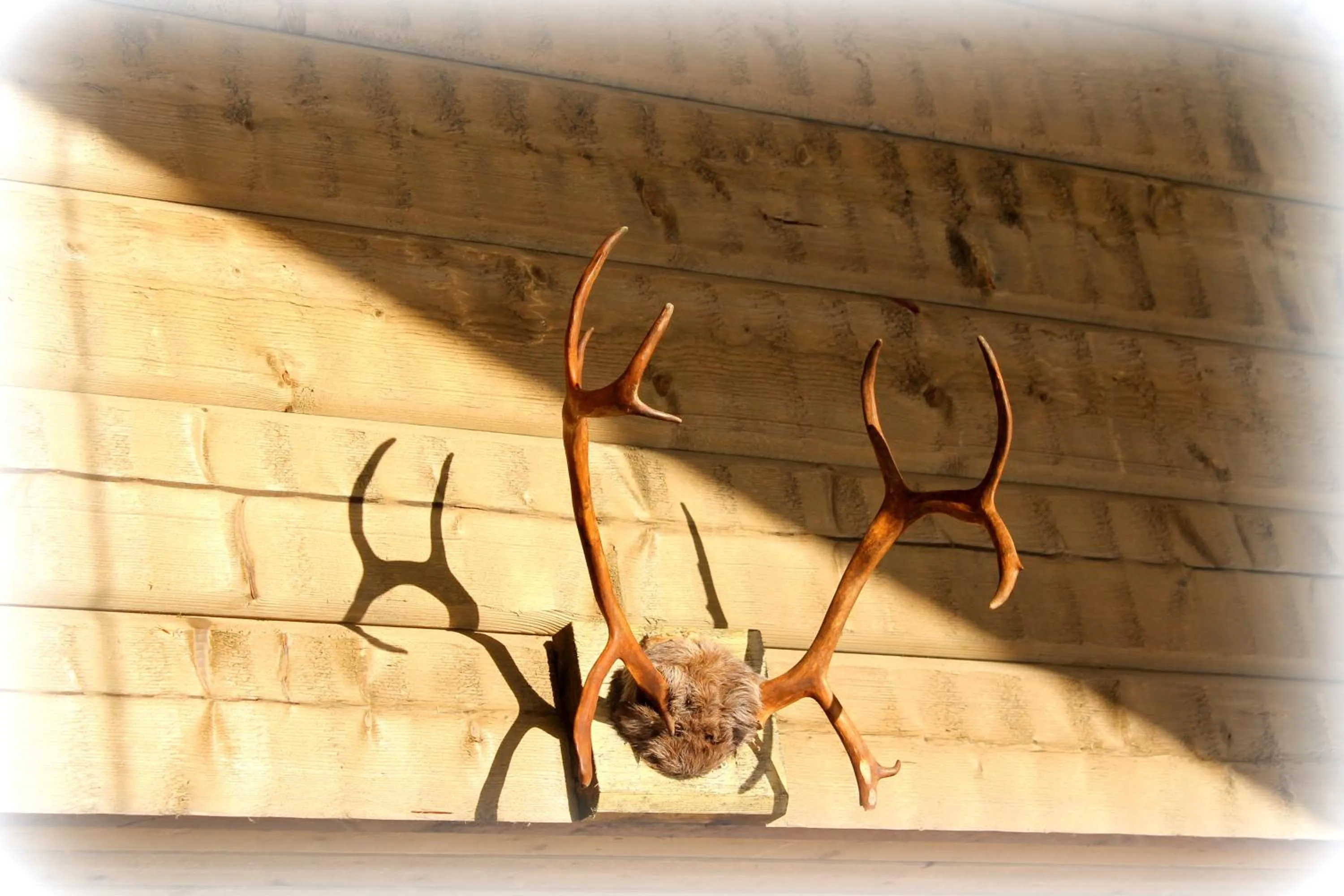 On site in Stordrågen