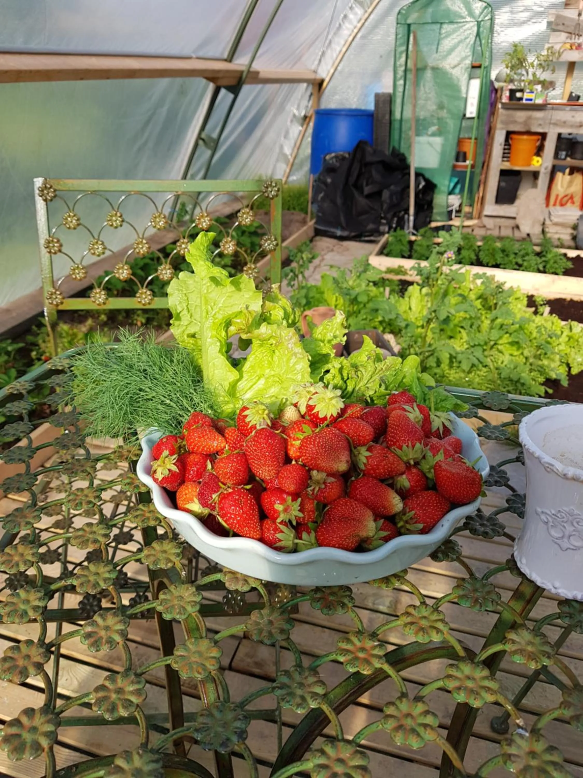 Other in Stordrågen