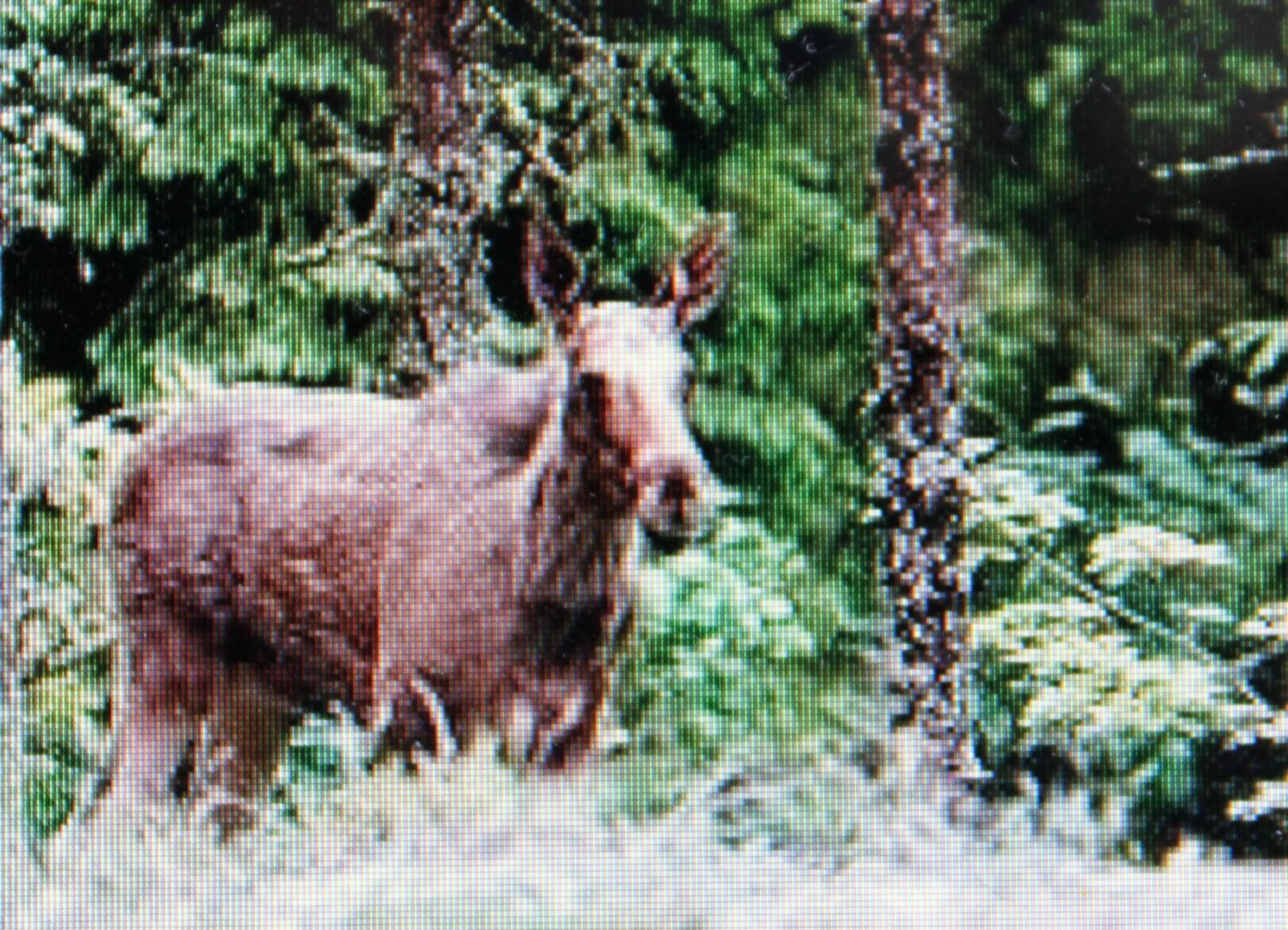 Hiking in Stordrågen