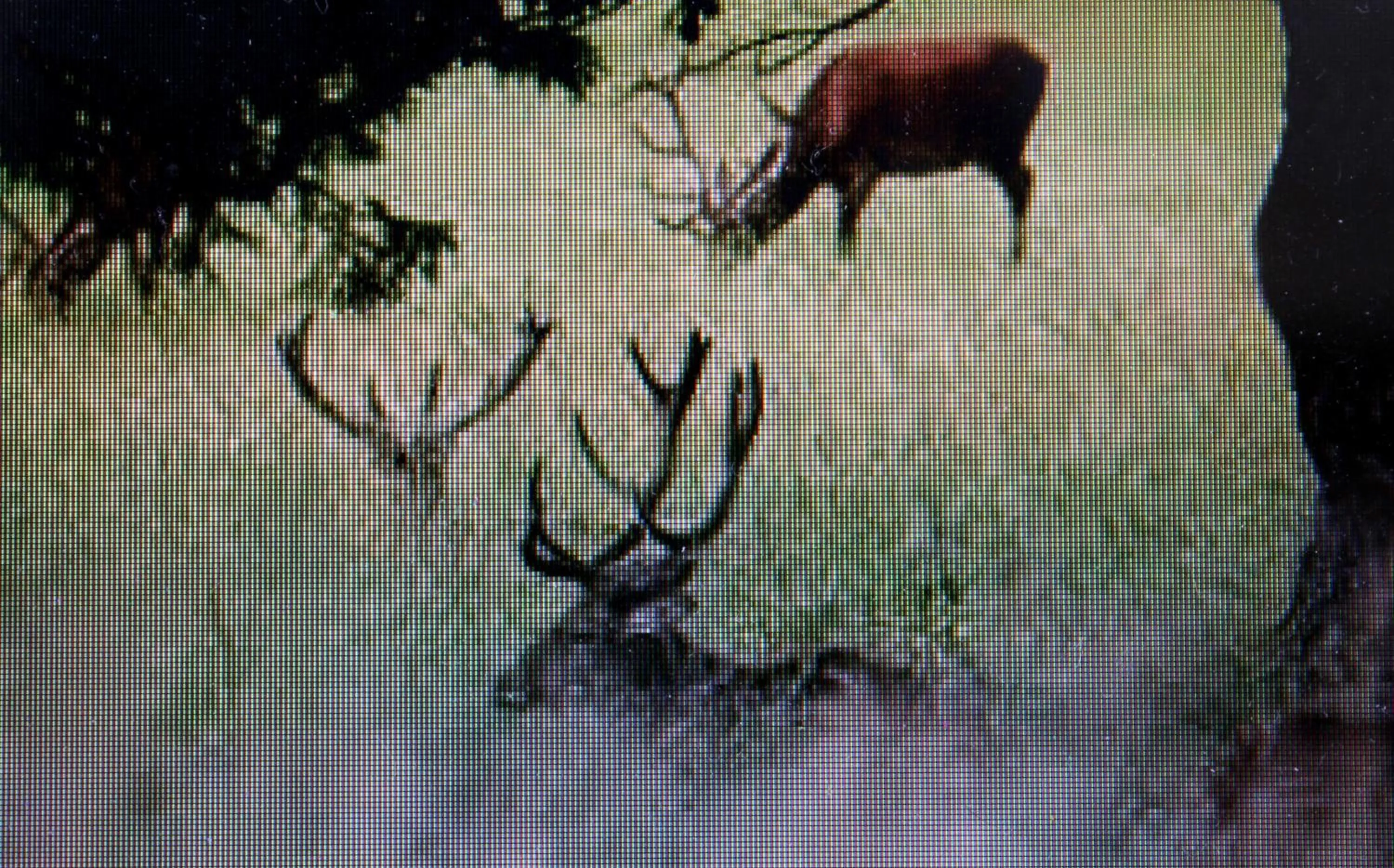 Off site in Stordrågen