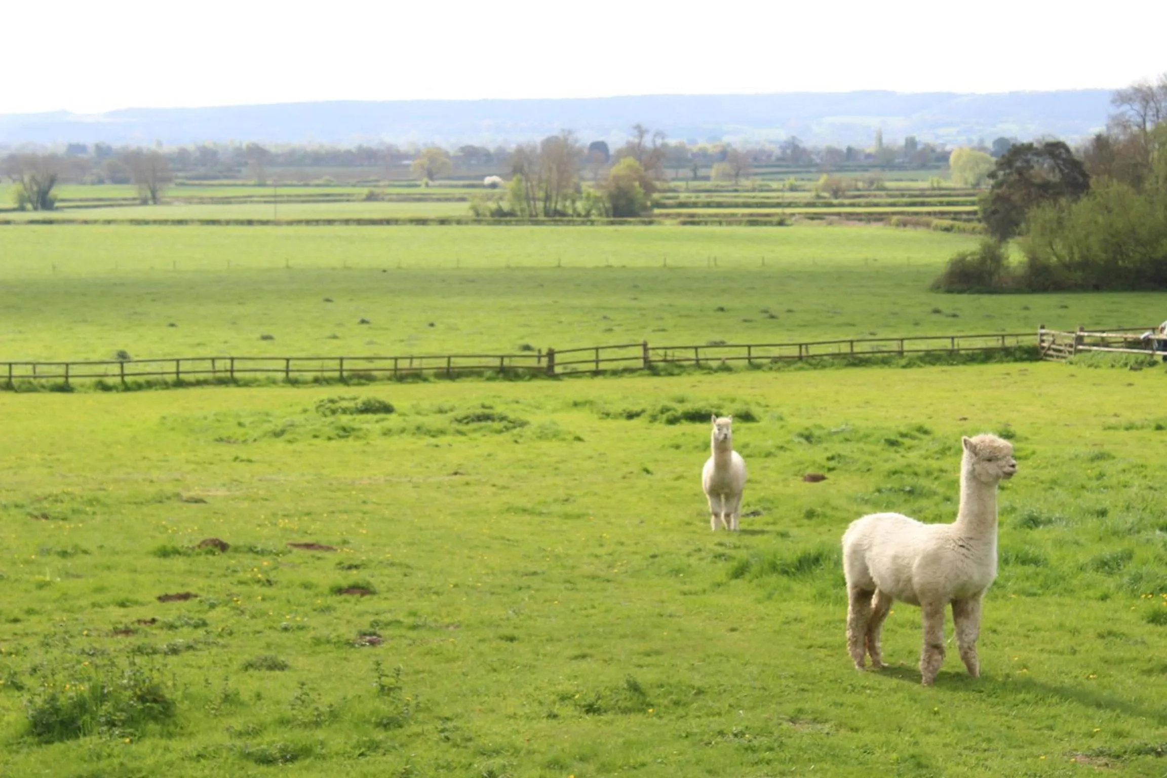 Property building in The Swallows