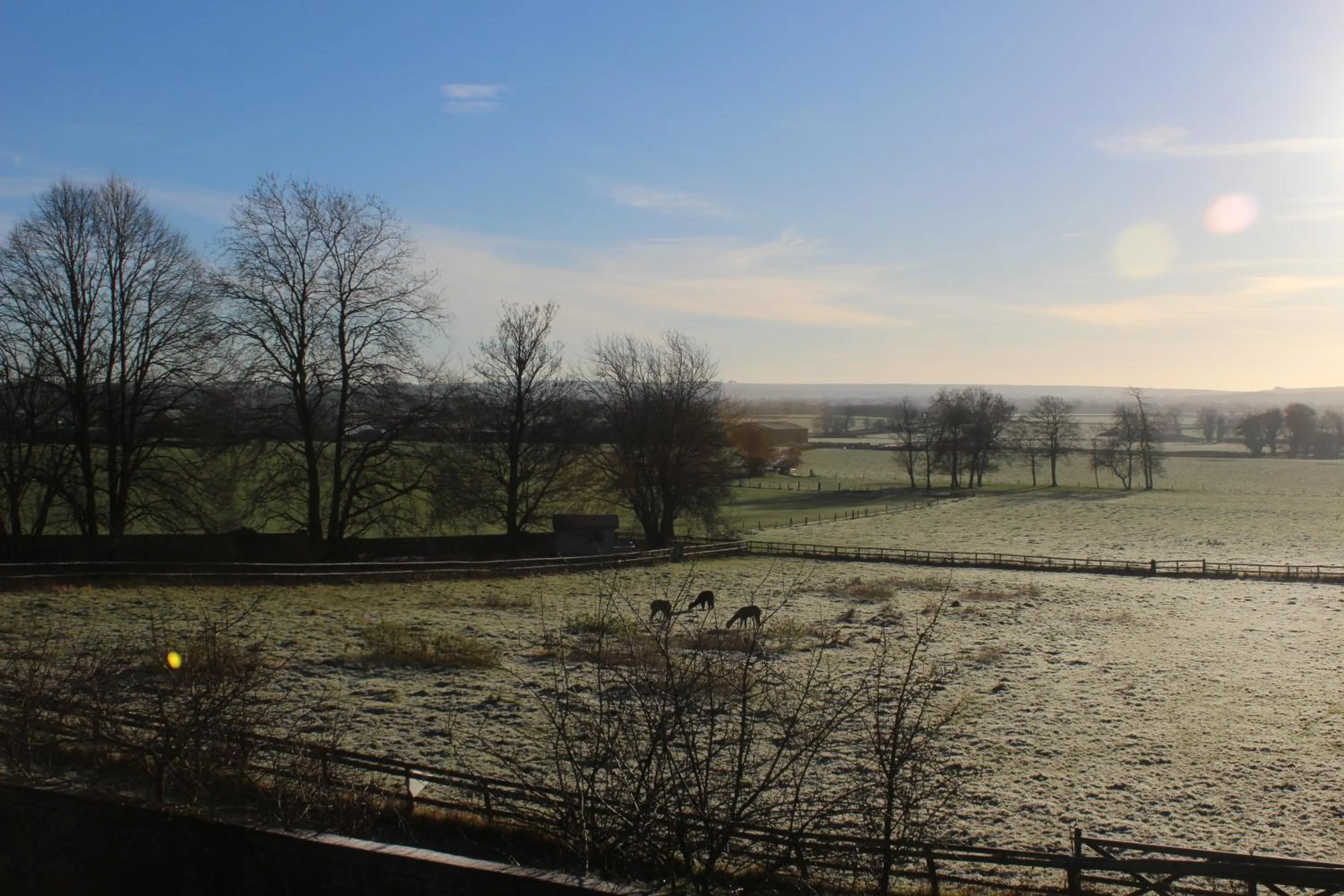 Property building in The Swallows