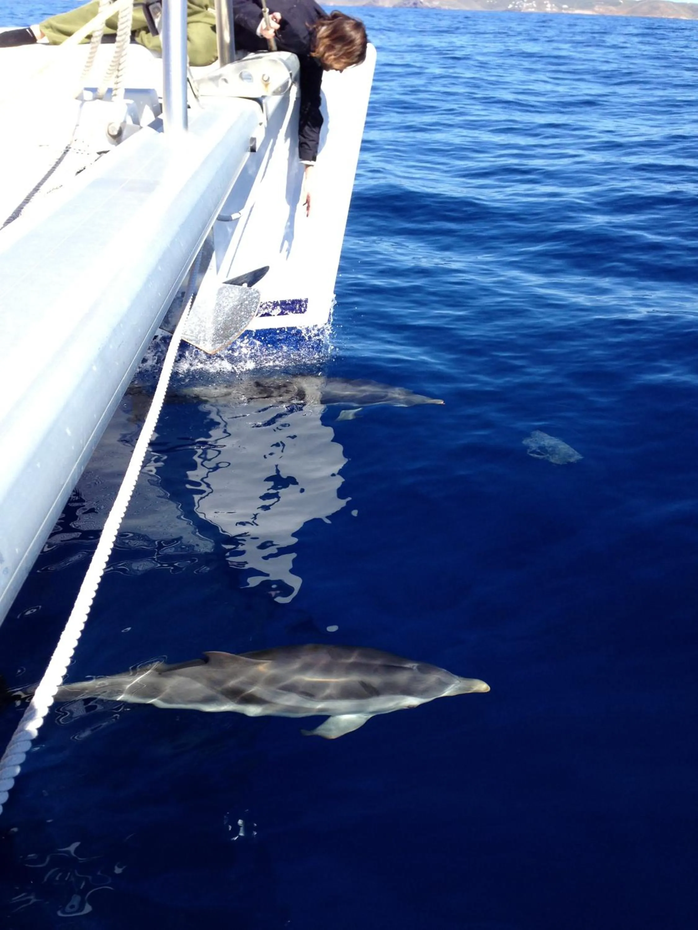 Entertainment in Honeymoon Petra Villas