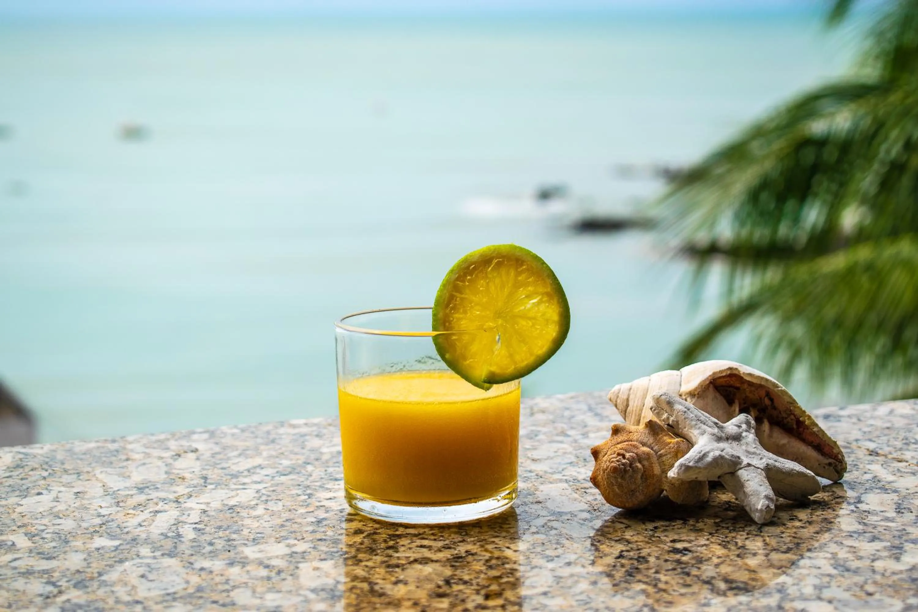 Day in Hotel Pousada Estacao Do Sol Natal