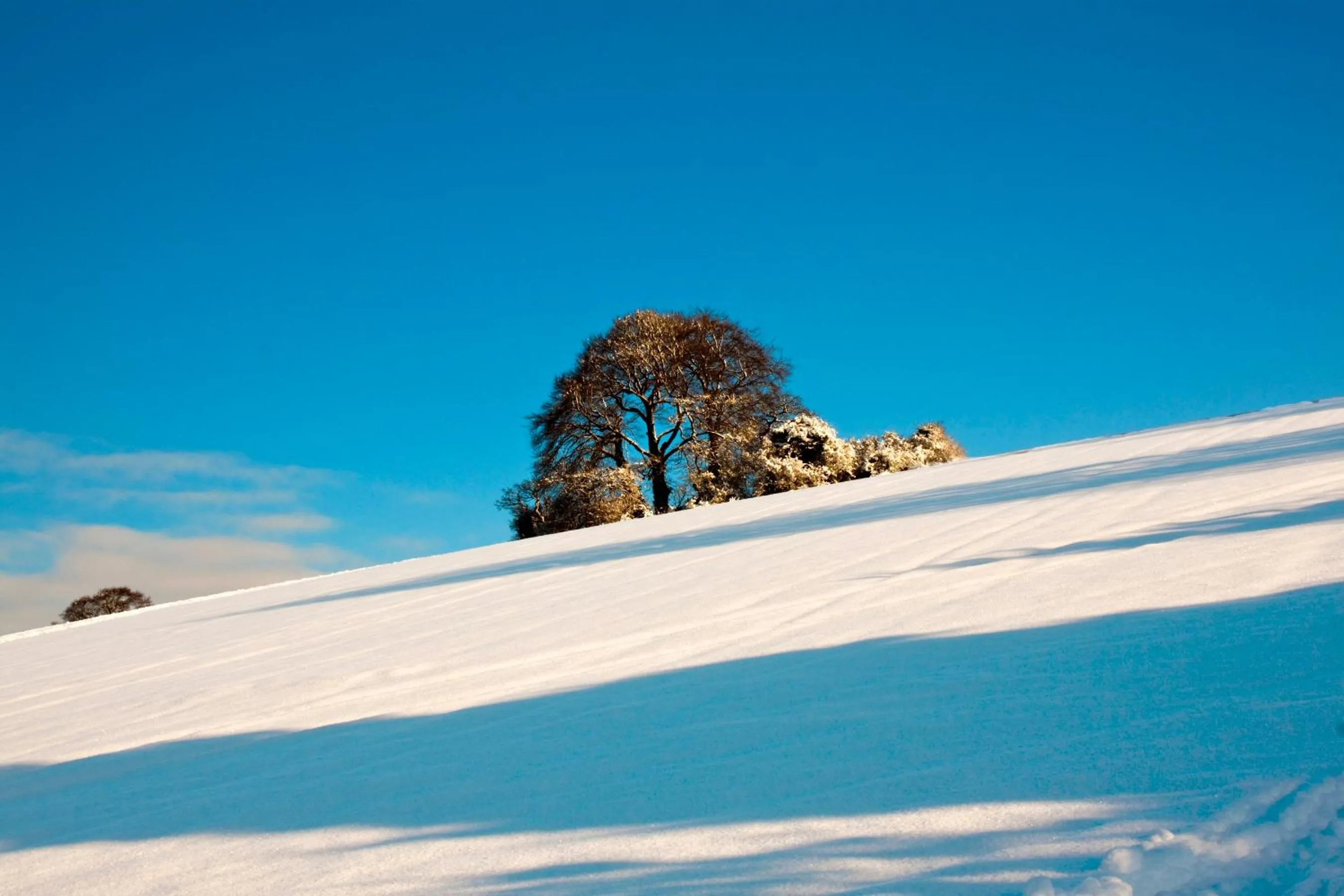 Natural landscape in Manor Farm Courtyard Cottages