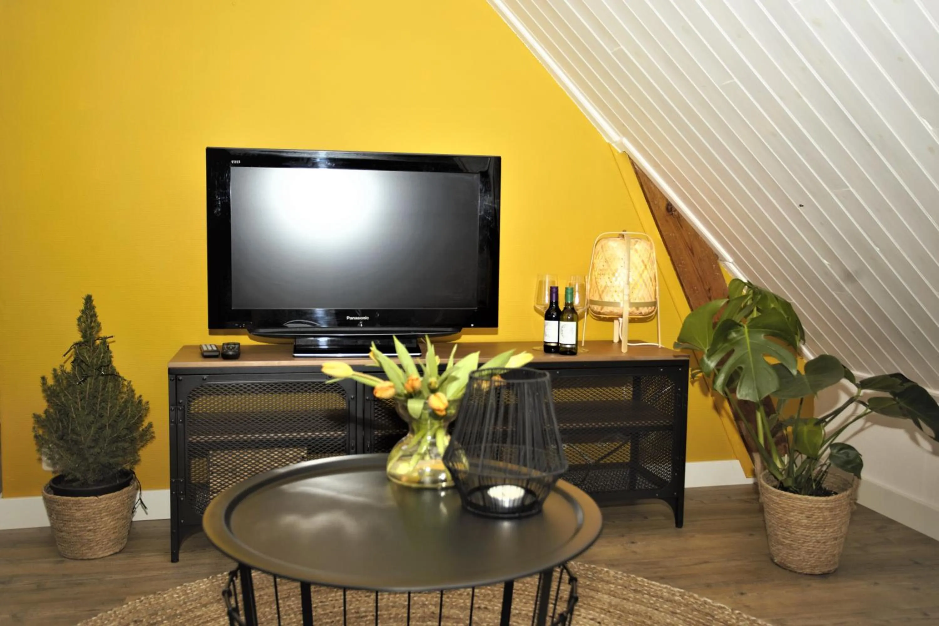 TV and multimedia in B&B 'T Skoalhûs