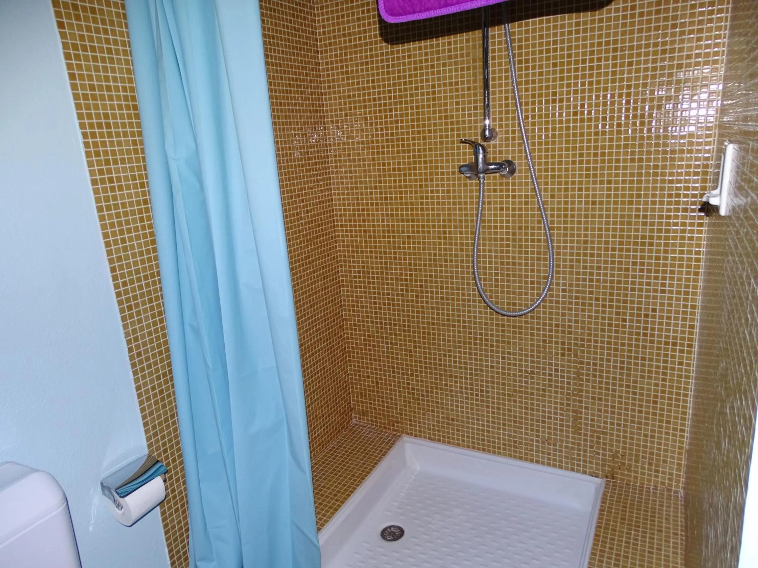 Shower in Chalet La Barme Les Houches Vallée de Chamonix