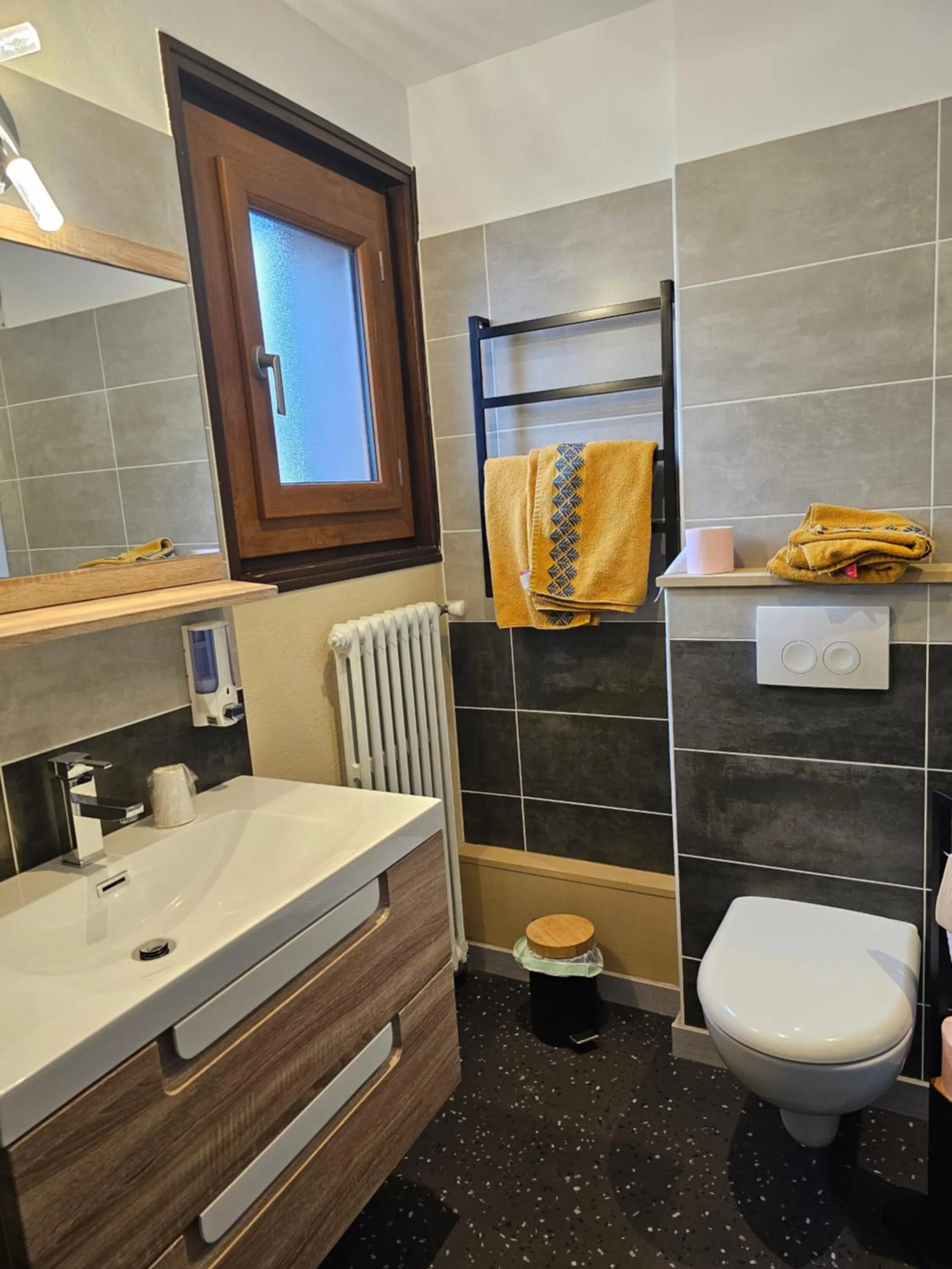 Toilet in Chalet La Barme Les Houches Vallée de Chamonix