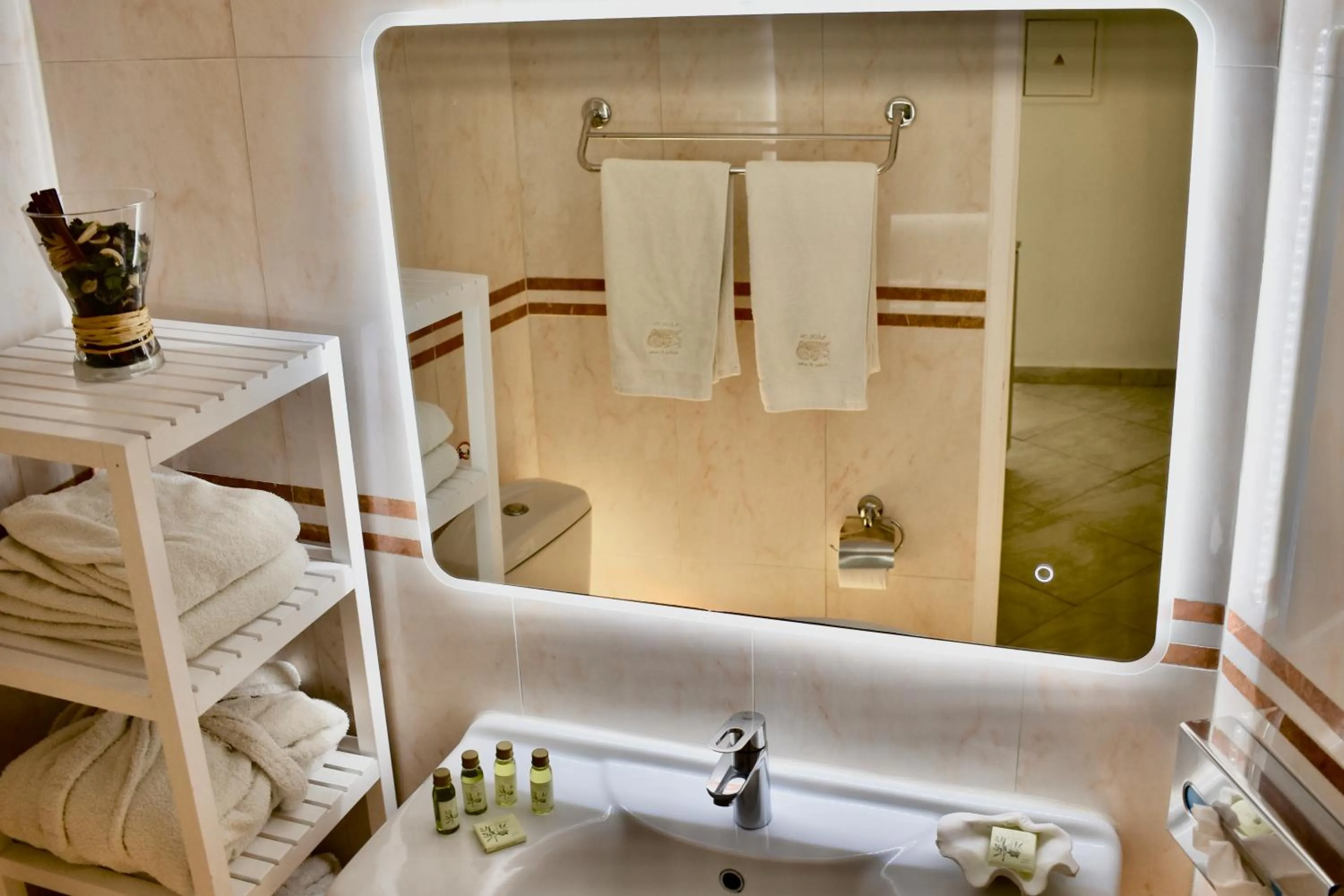 Toilet in Aeolos Art & Eco Suites Adults Only