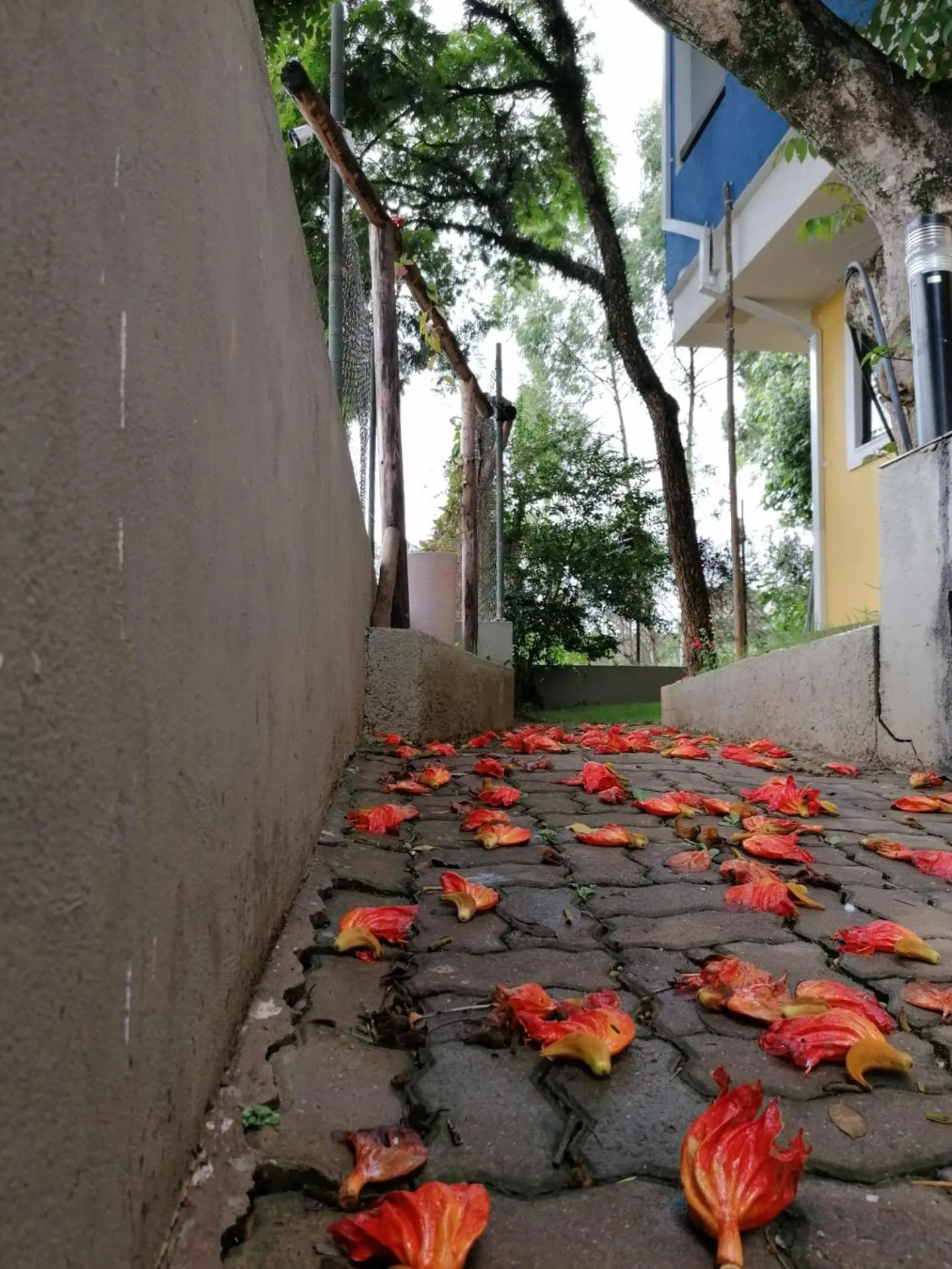 Facade/entrance in Pousada TOP Mairiporã