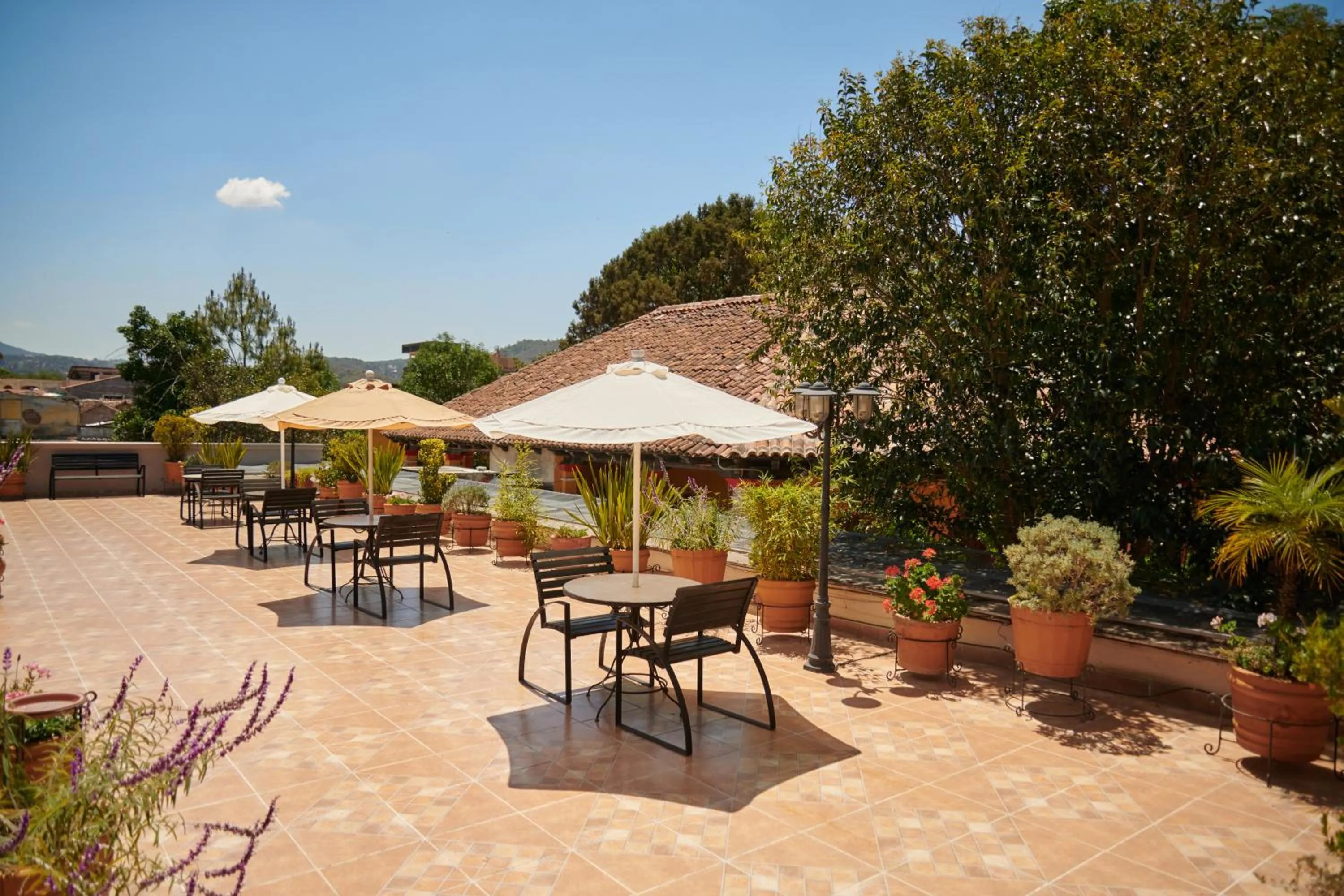 Patio in Hotel Mansion Del Valle