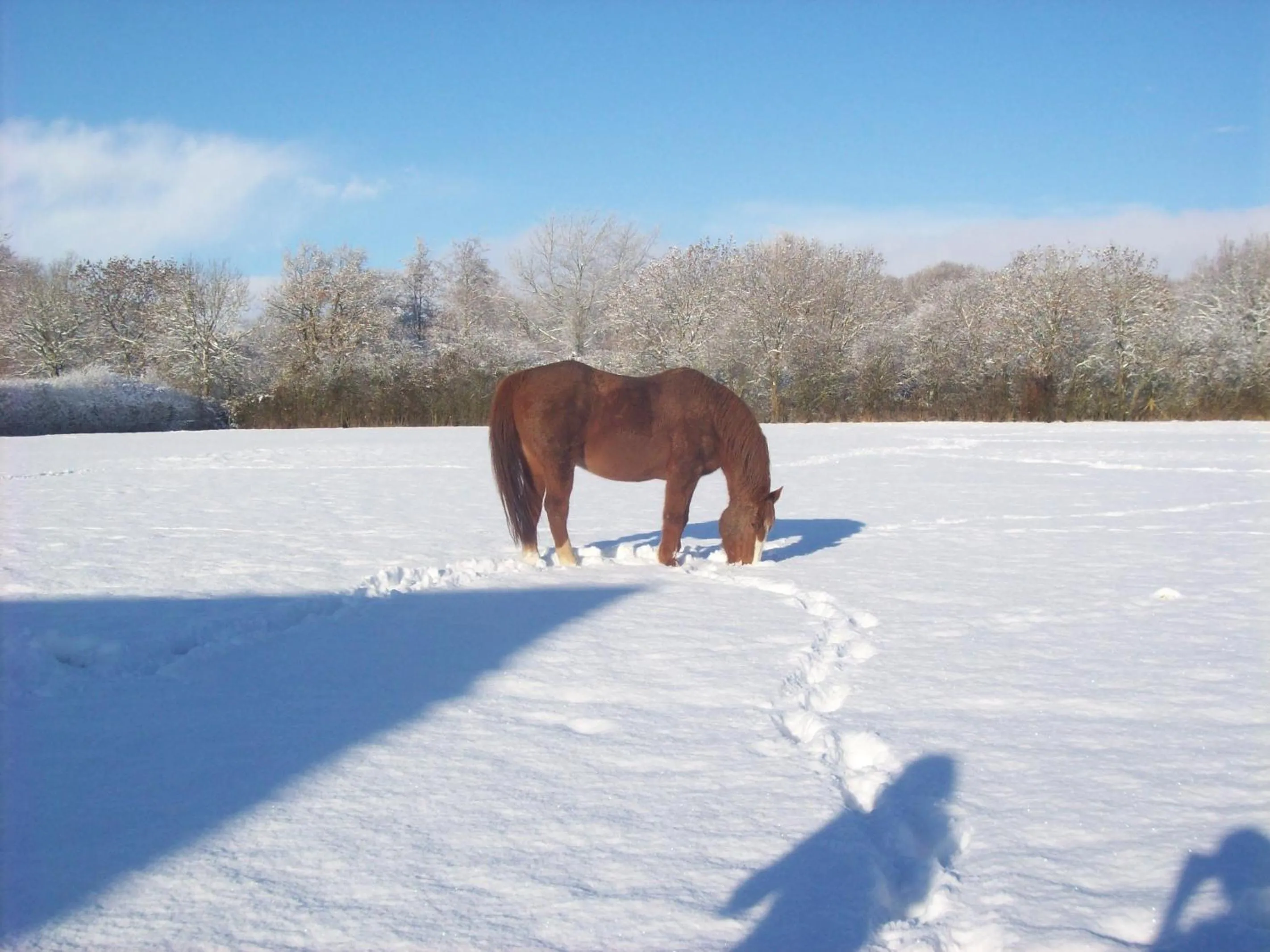 Other in Priors Oak - A Cosy Studio with Countryside Views in Dorset