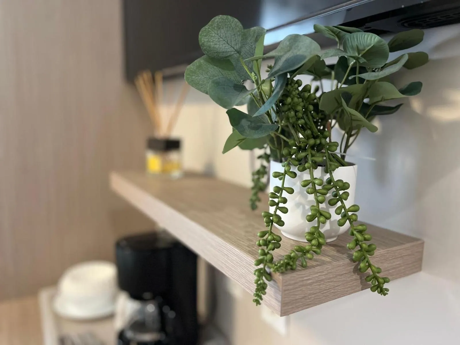 Decorative detail in Costa Norte Boutique Hotel Miami Beach