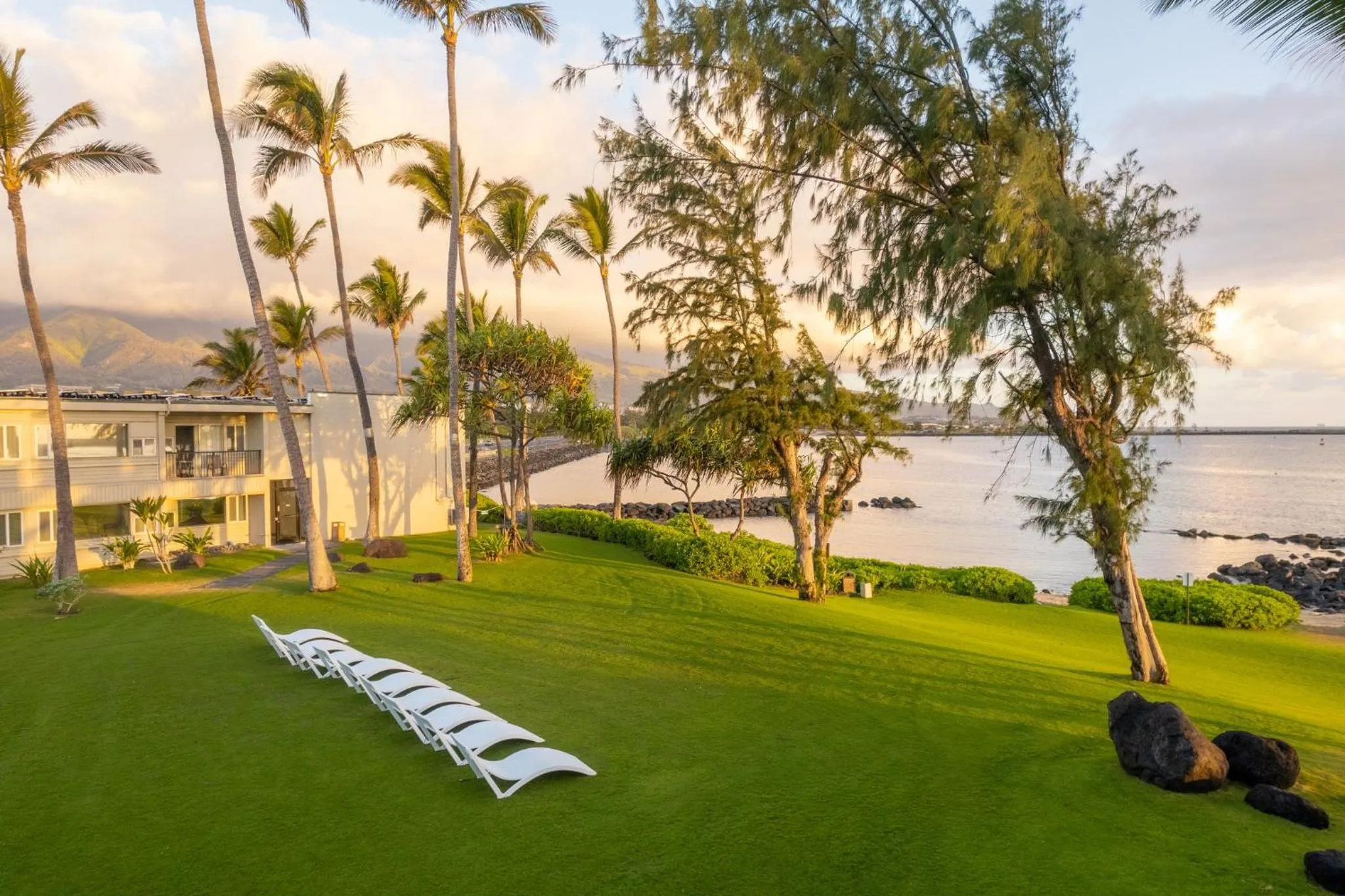 Balcony/Terrace in Maui Beach Hotel