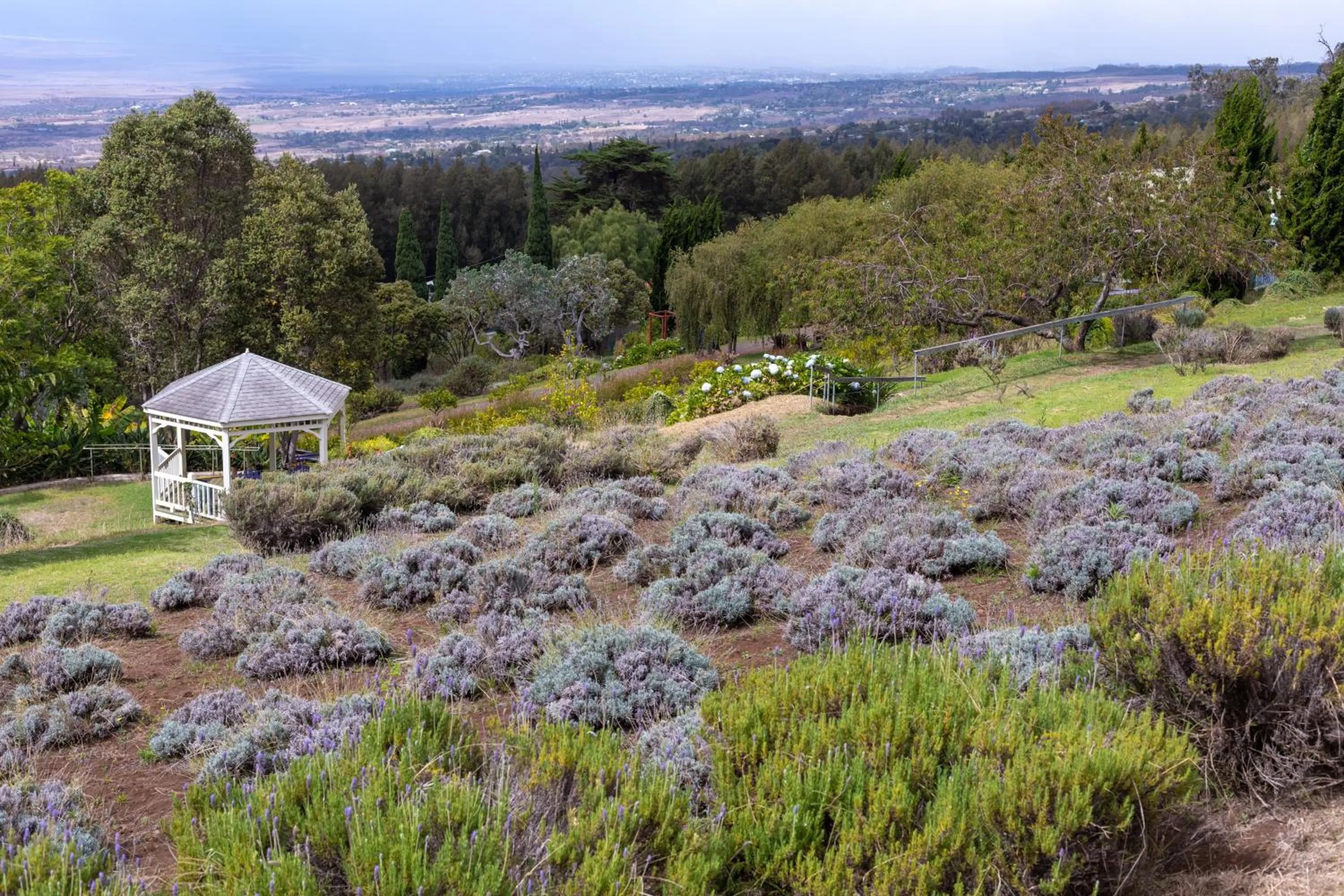 Property building in Maui Beach Hotel
