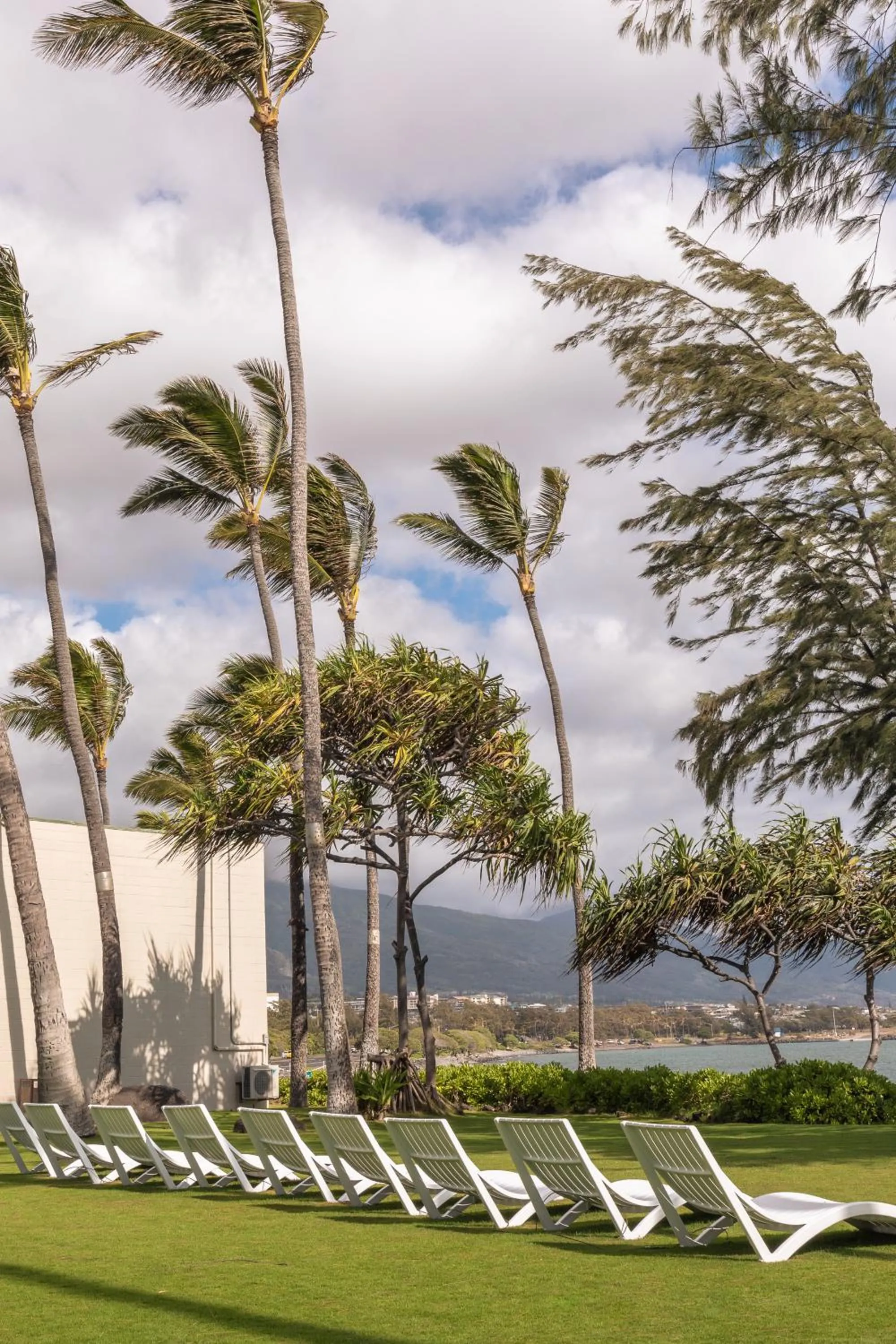 View (from property/room) in Maui Beach Hotel
