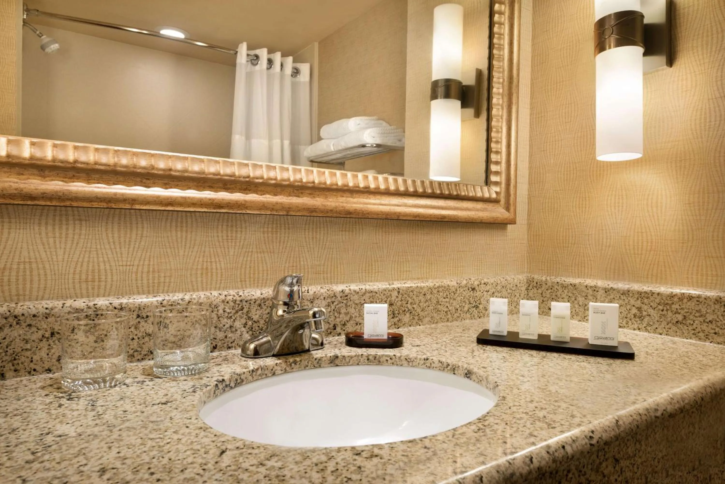 Bathroom in Embassy Suites East Peoria Hotel and Riverfront Conference Center