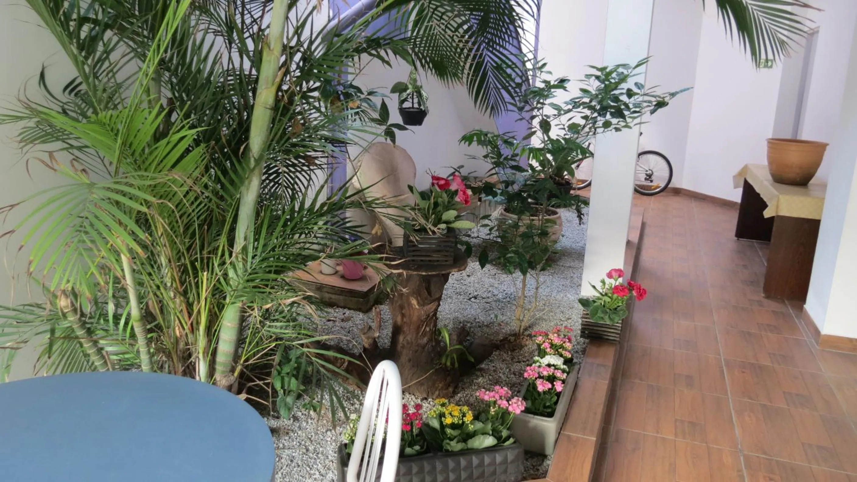 Garden in Pousada Santa Ana