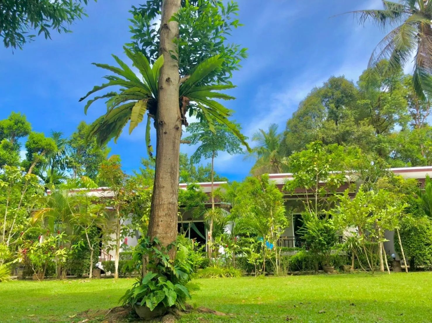 Natural landscape in Pana Long Beach Resort - SHA Plus