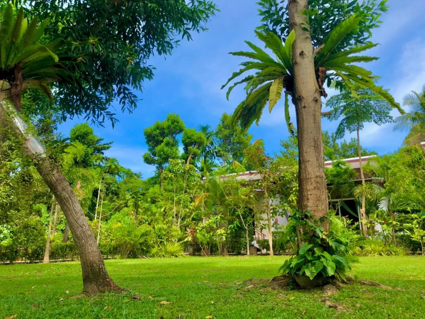 Day in Pana Long Beach Resort - SHA Plus