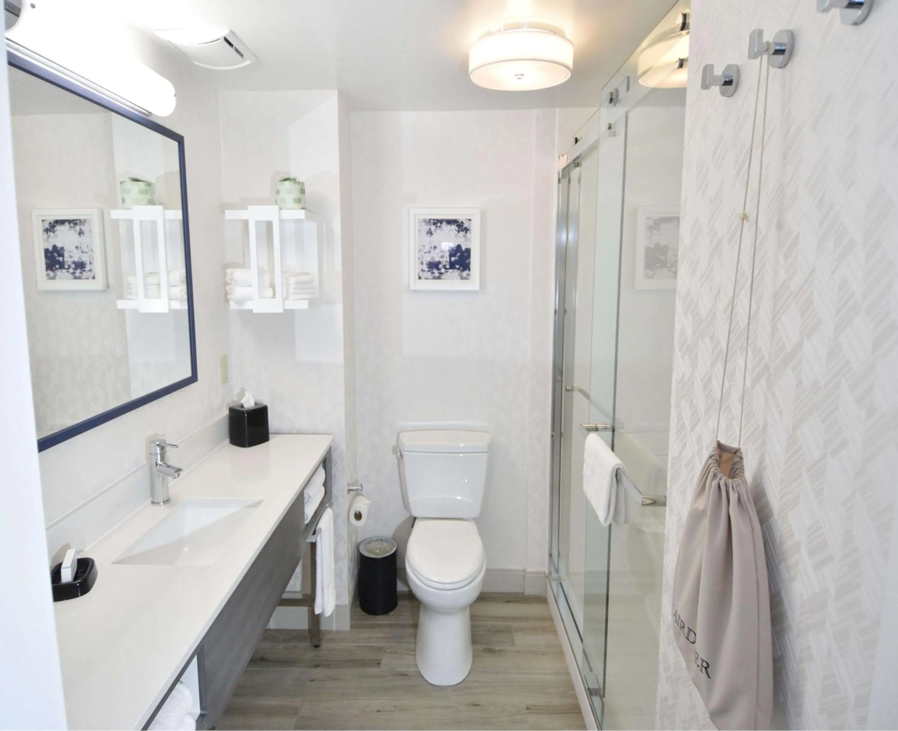 Bathroom in Hampton Inn Auburn