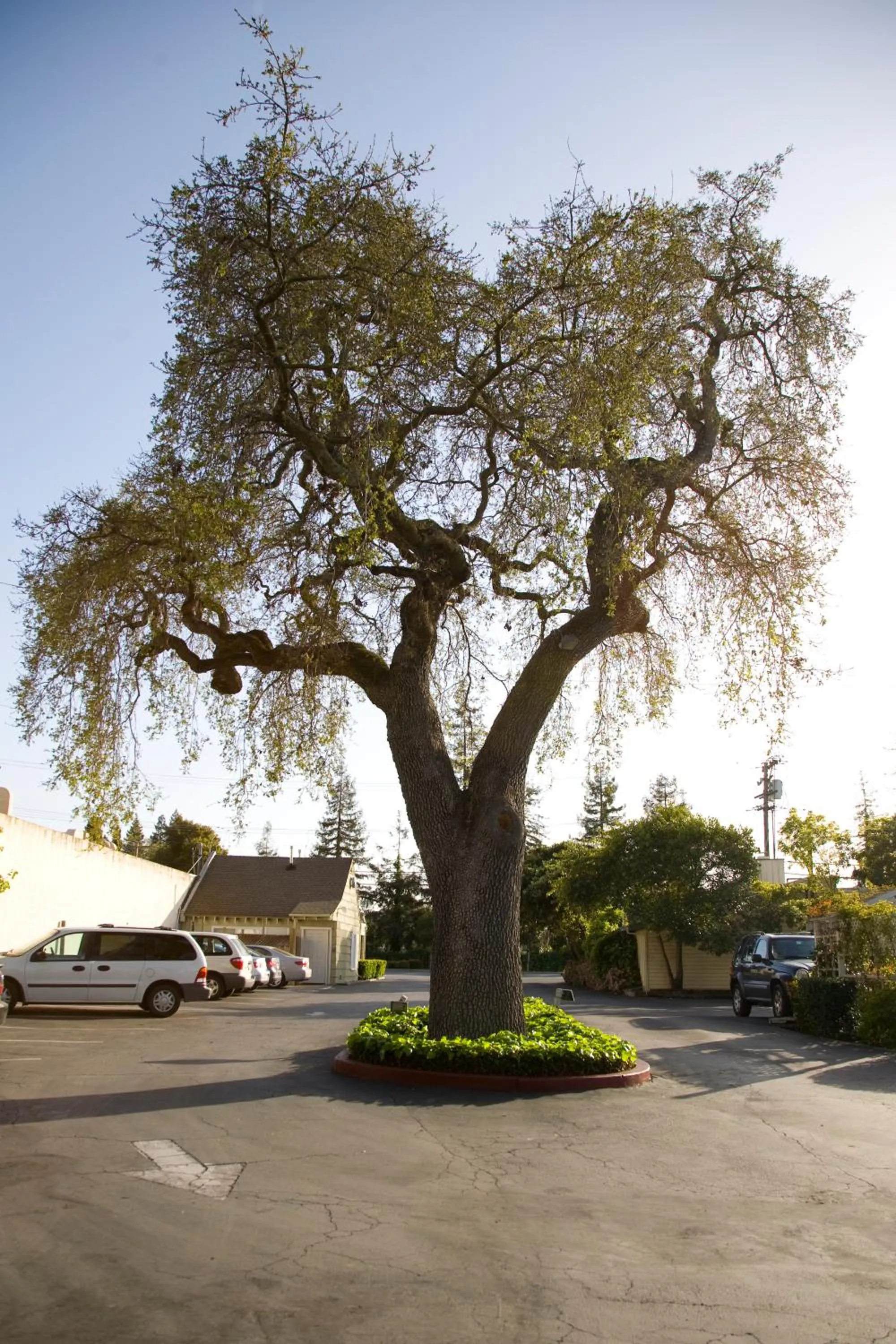 Facade/entrance in The Cottages Hotel
