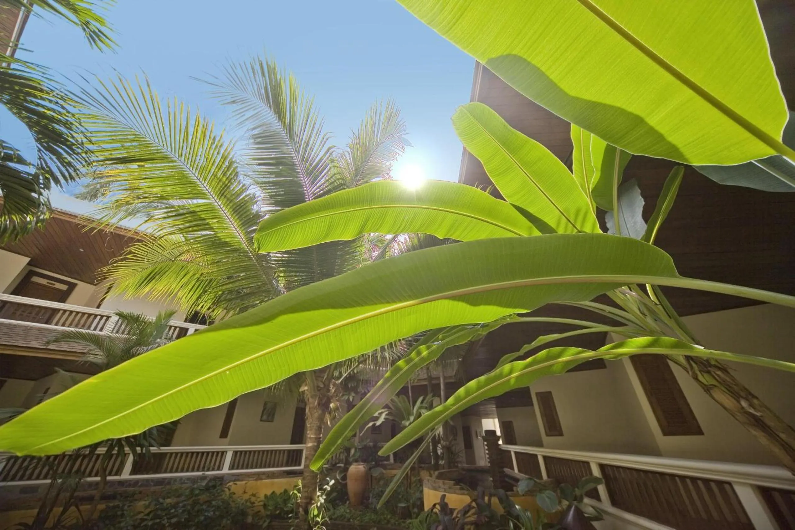 View (from property/room) in Thai House Beach Resort