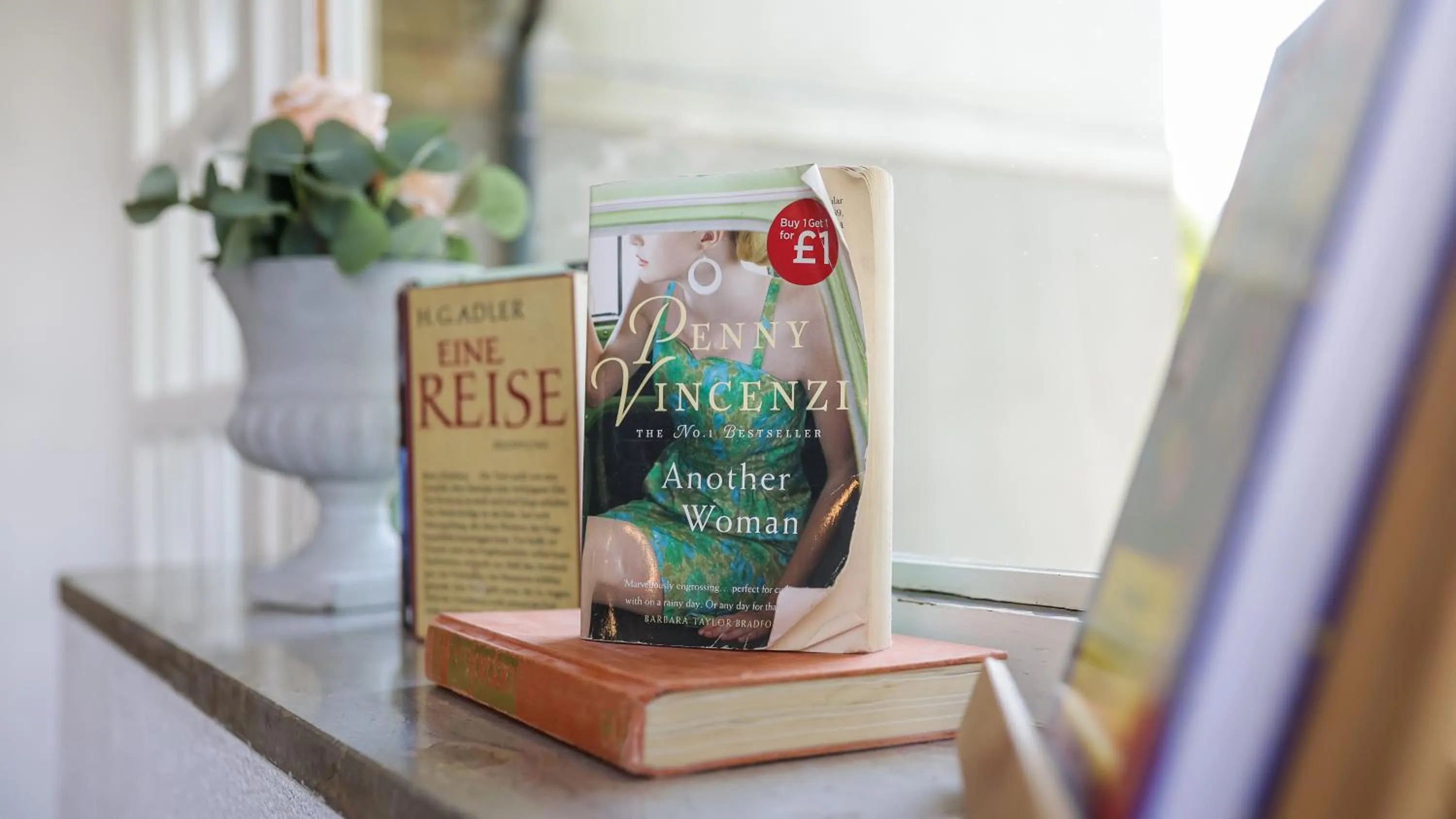 Library in Central Bled House