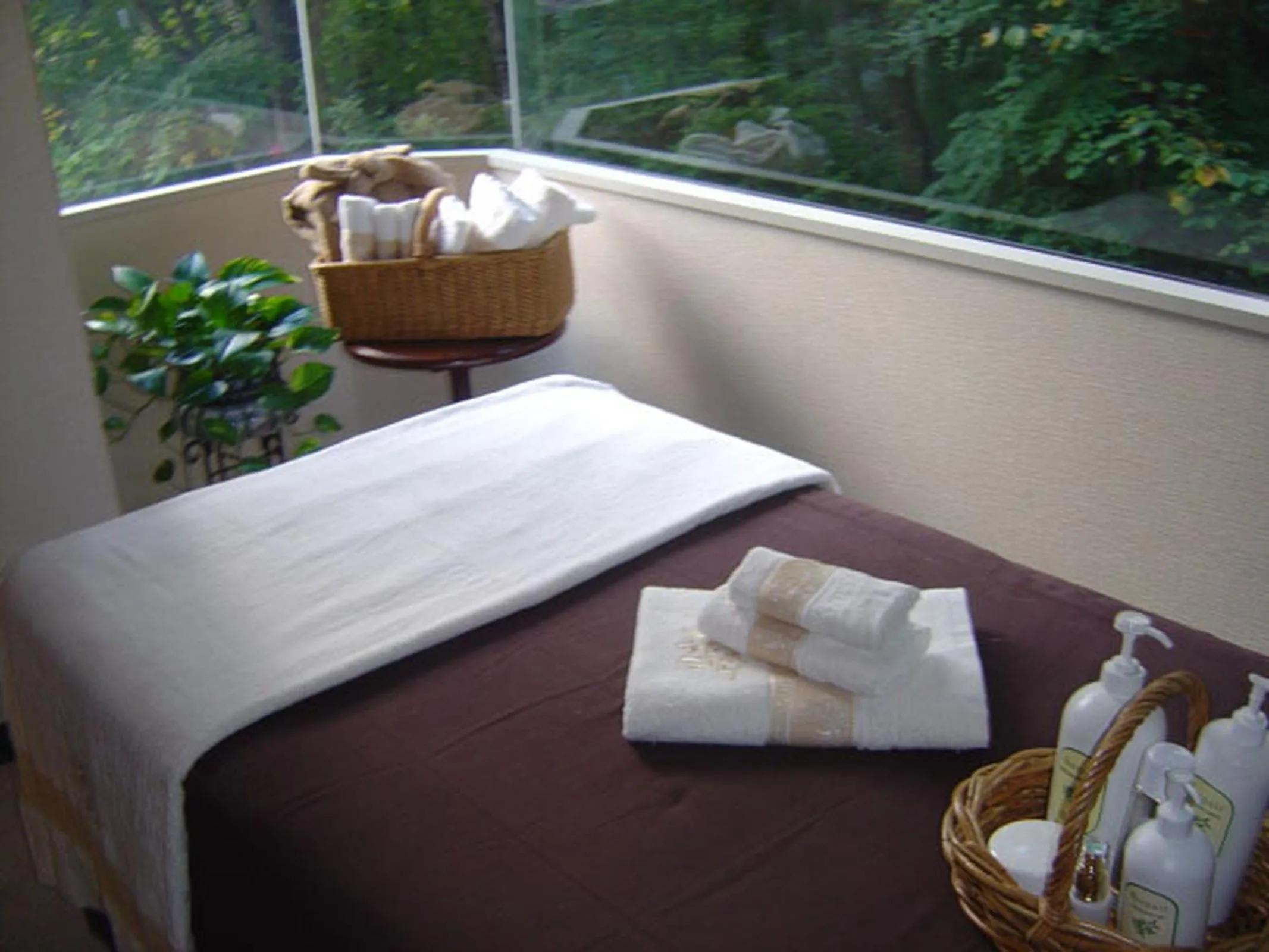 Massage, Bed in Hakuba Mominoki Hotel