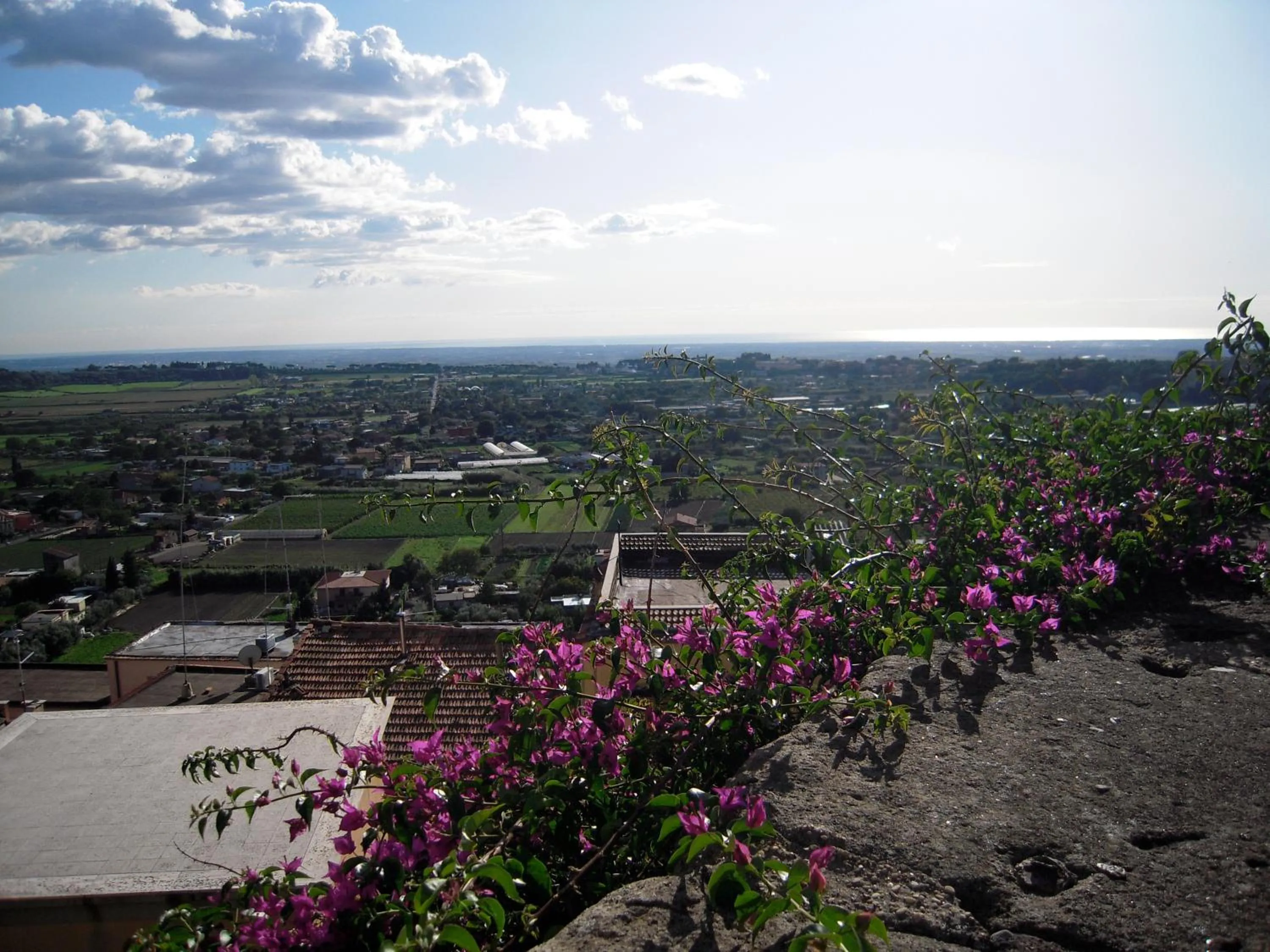 Balcony/Terrace in Casa Vacanze Palazzo Primoli